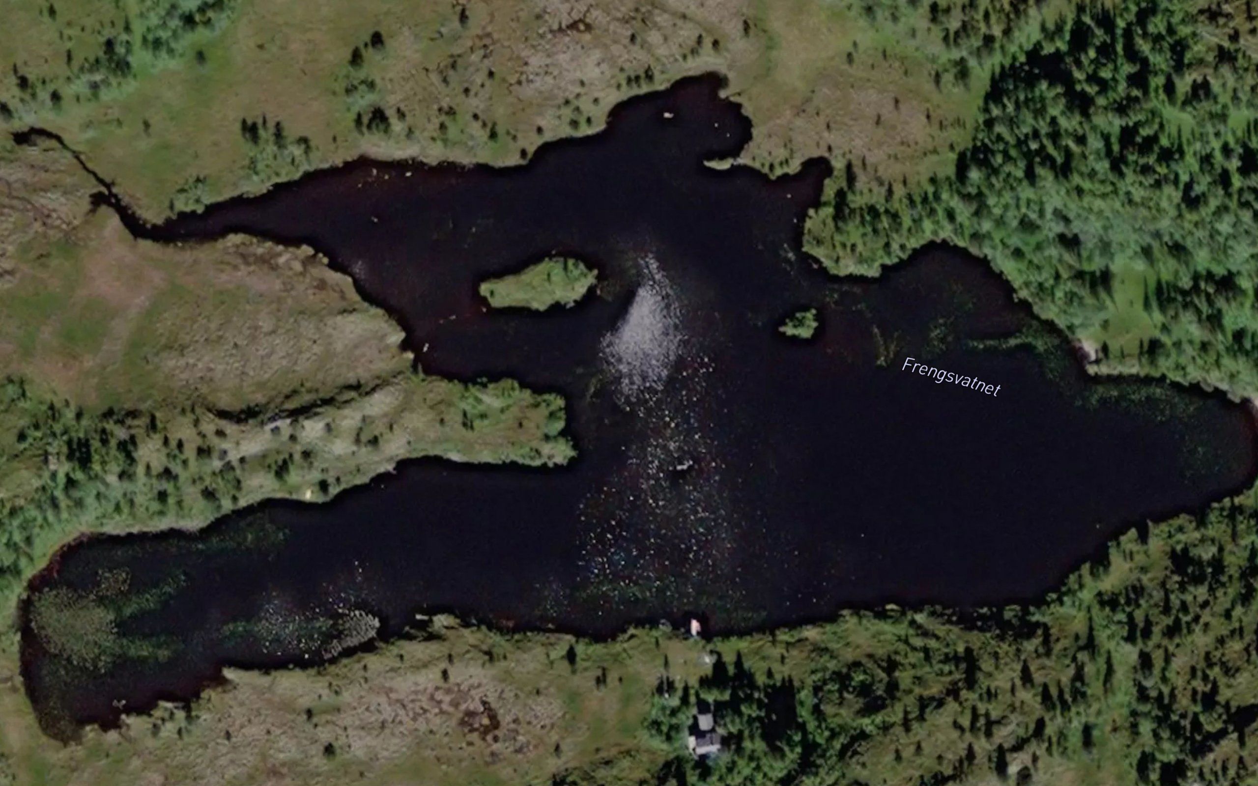 Frengsvatnet