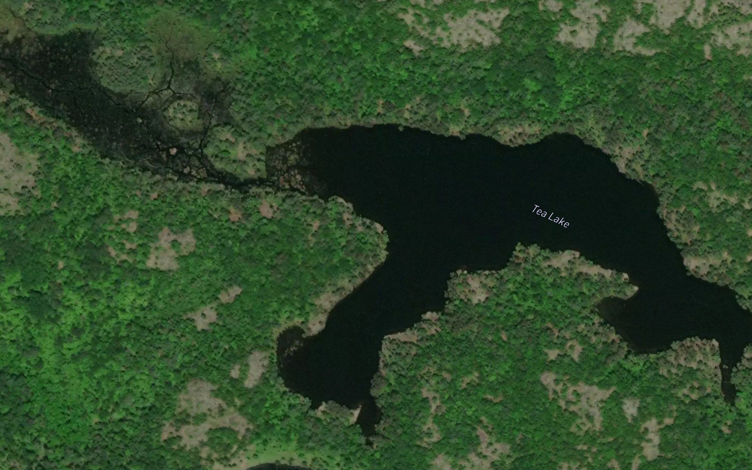 Tea Lake