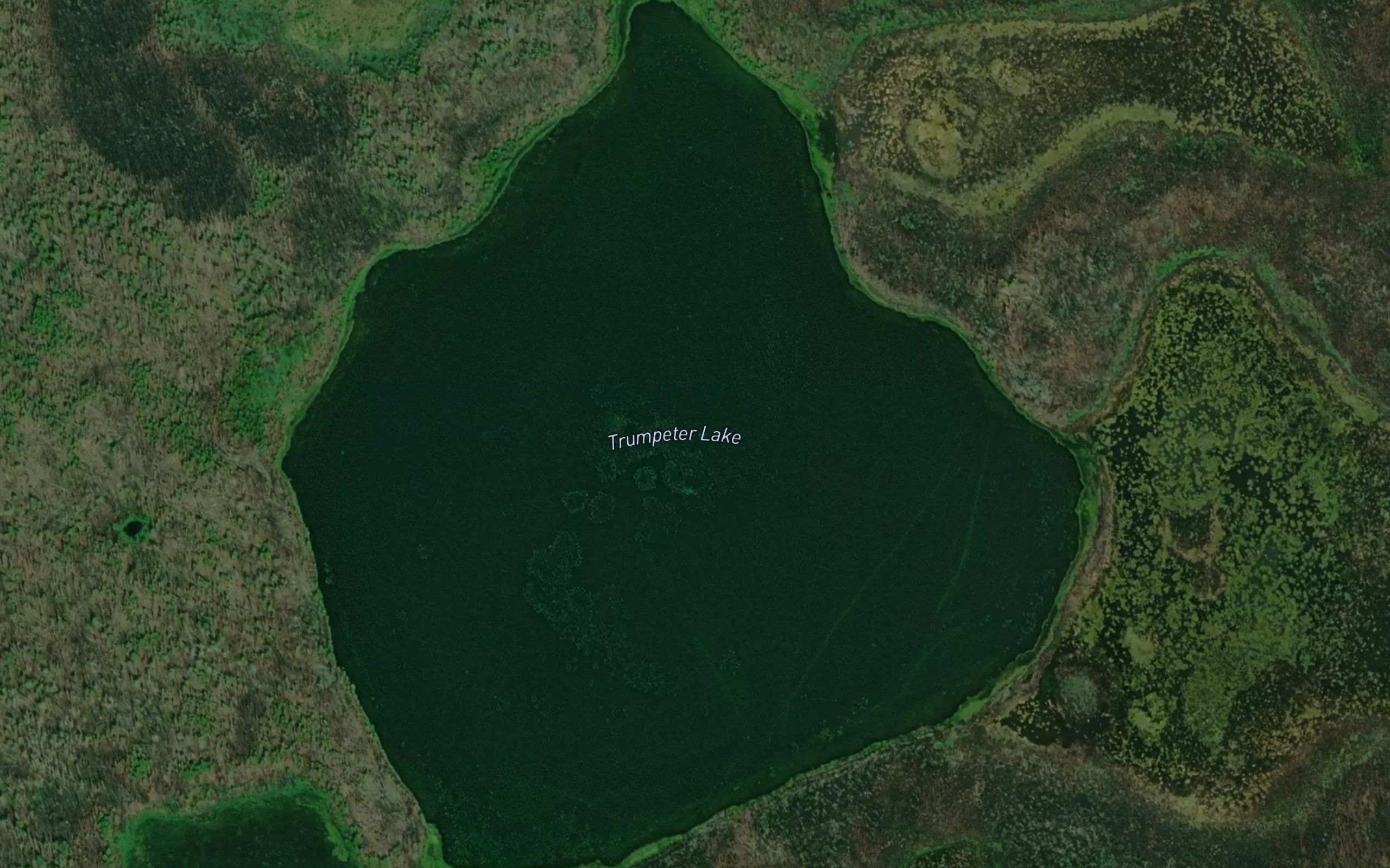 Trumpeter Lake