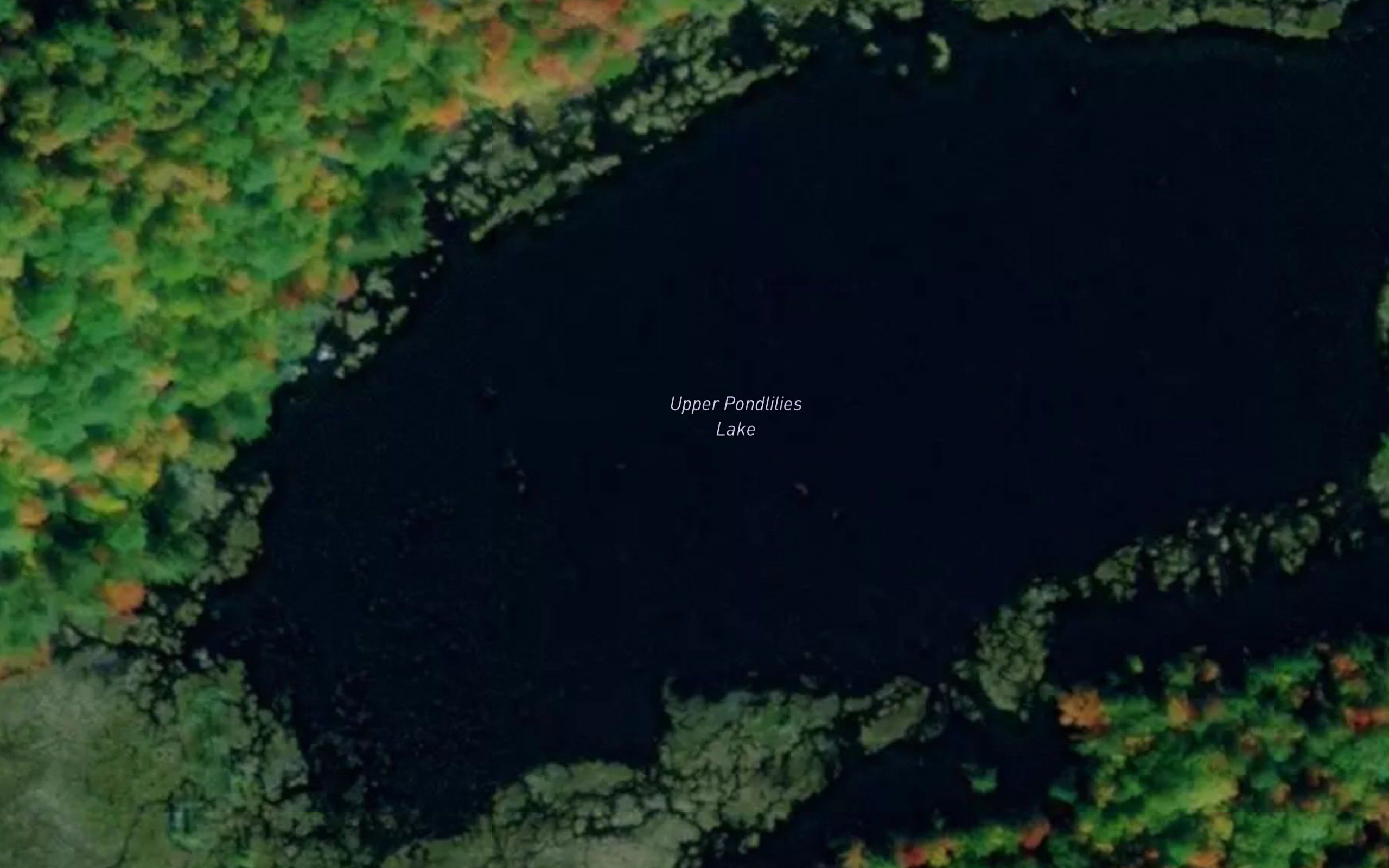Upper Pondlilies Lake