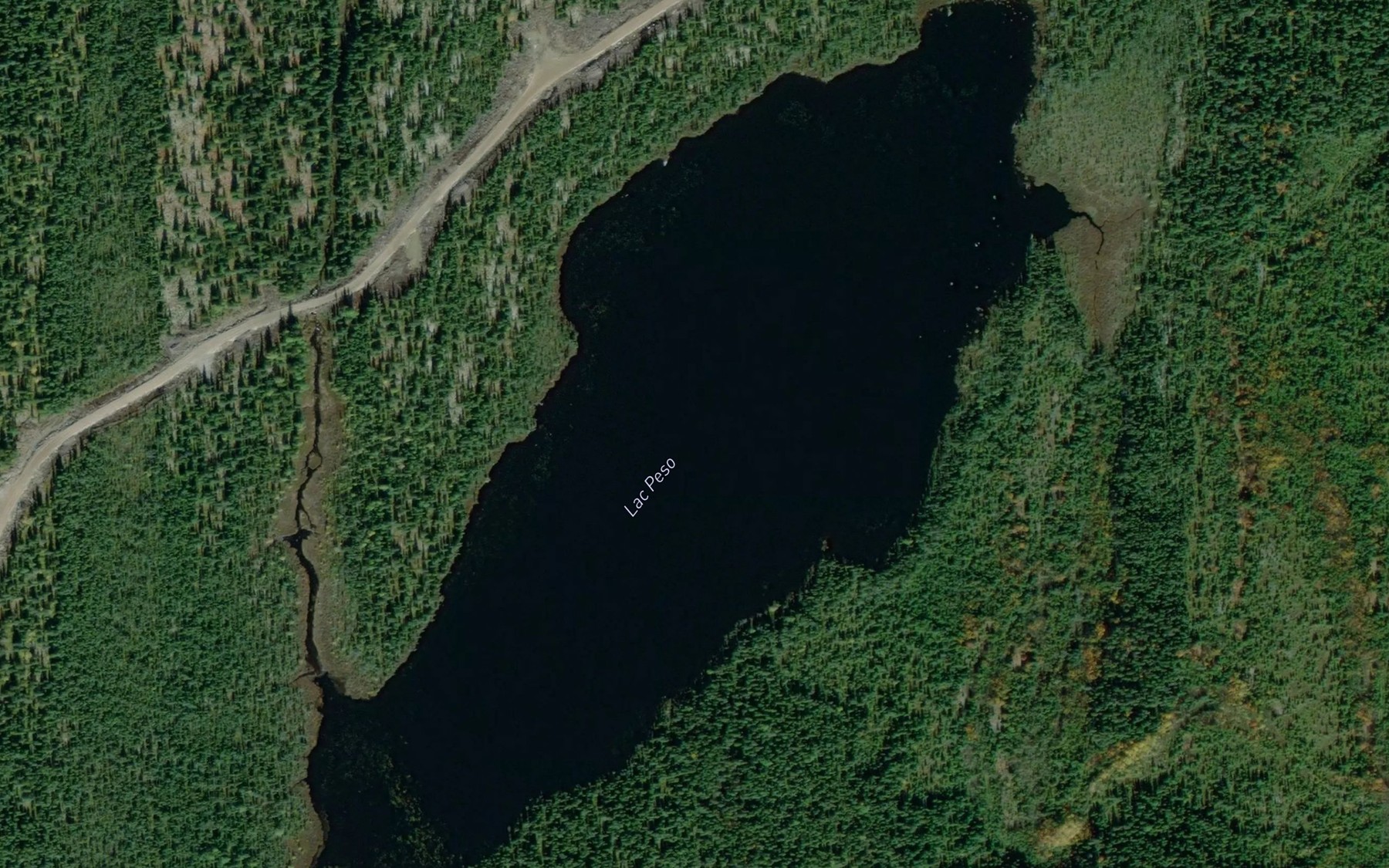 Satellite map of the Lac Peso