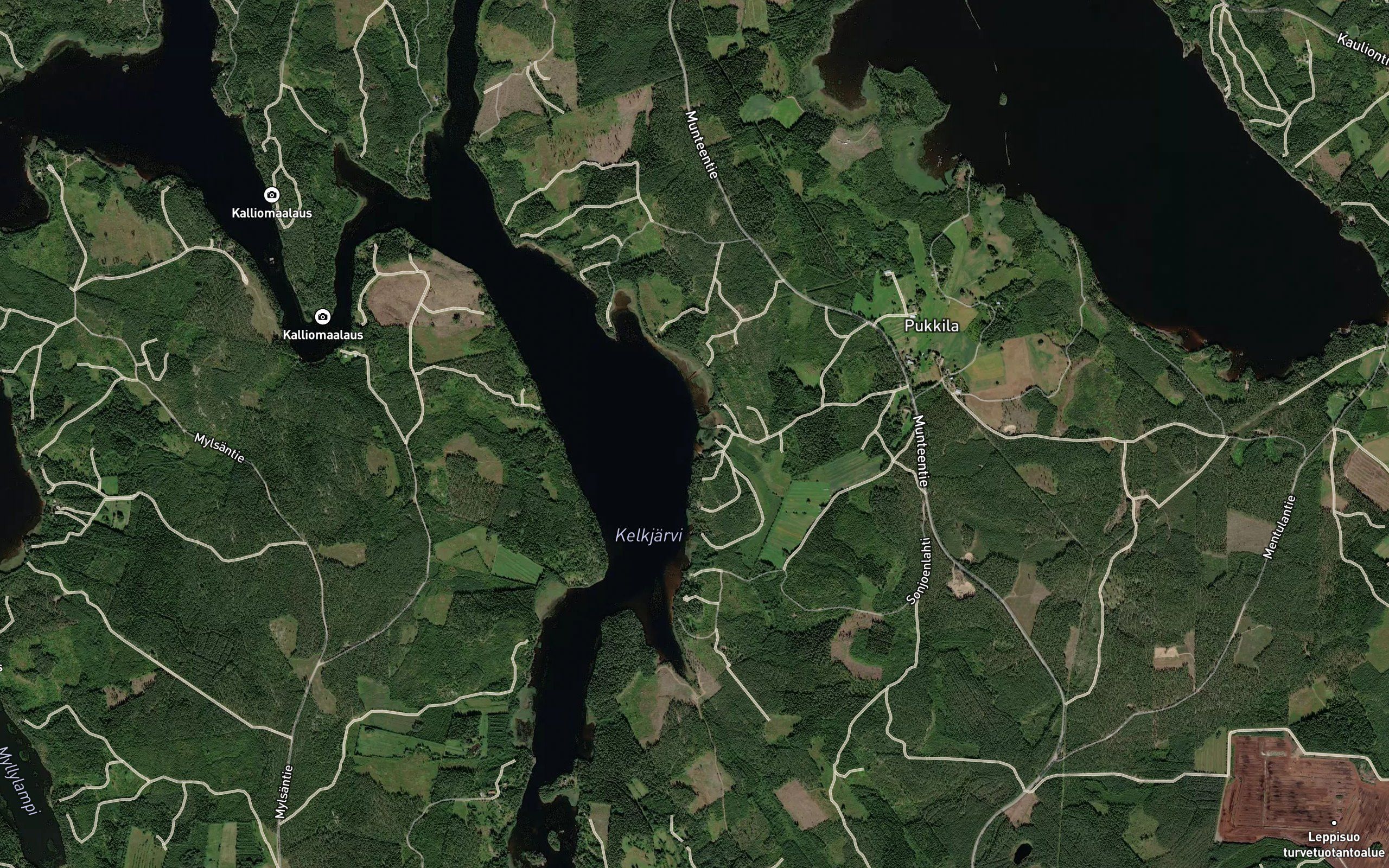 Varpalahti