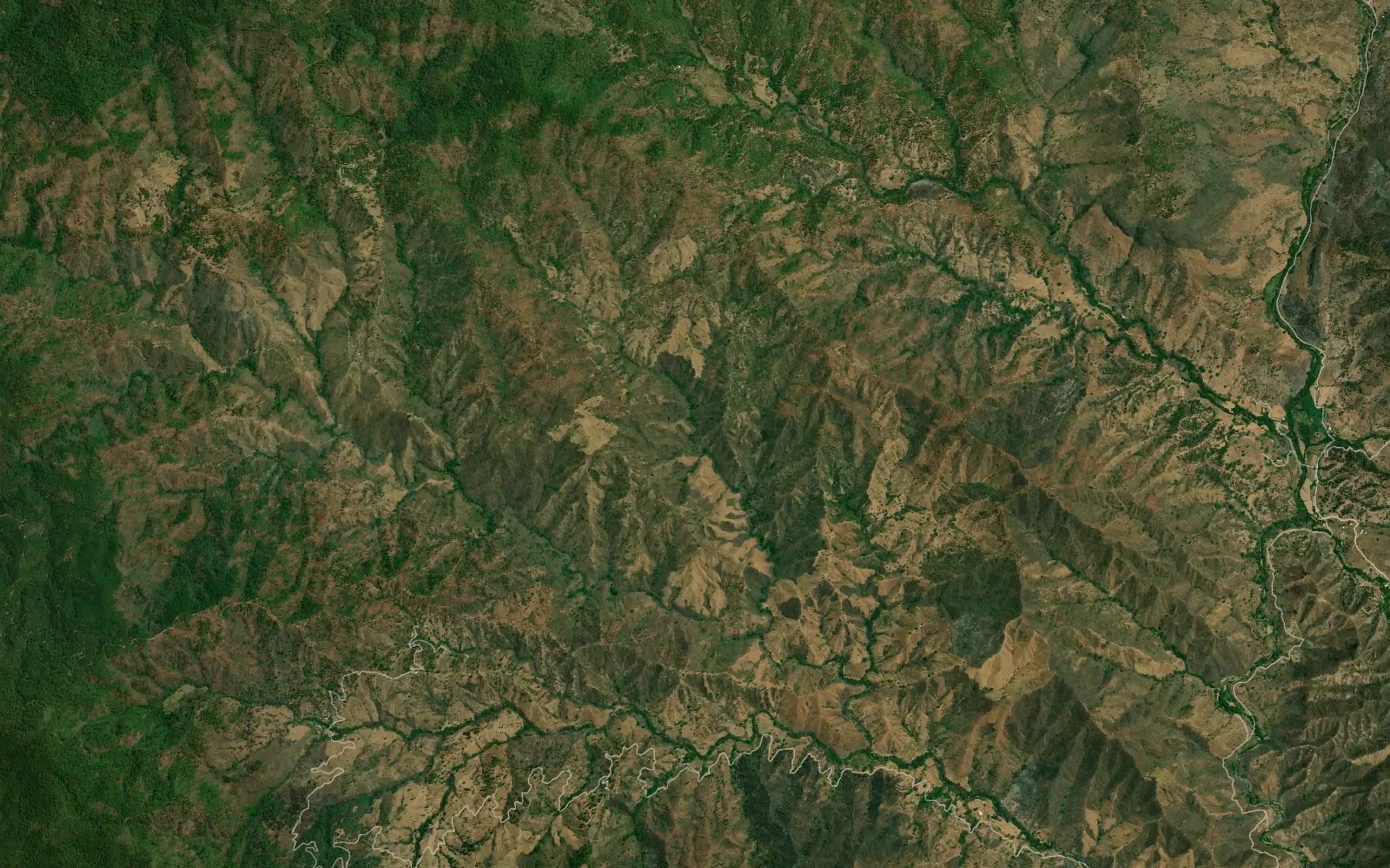 Los Cabos
