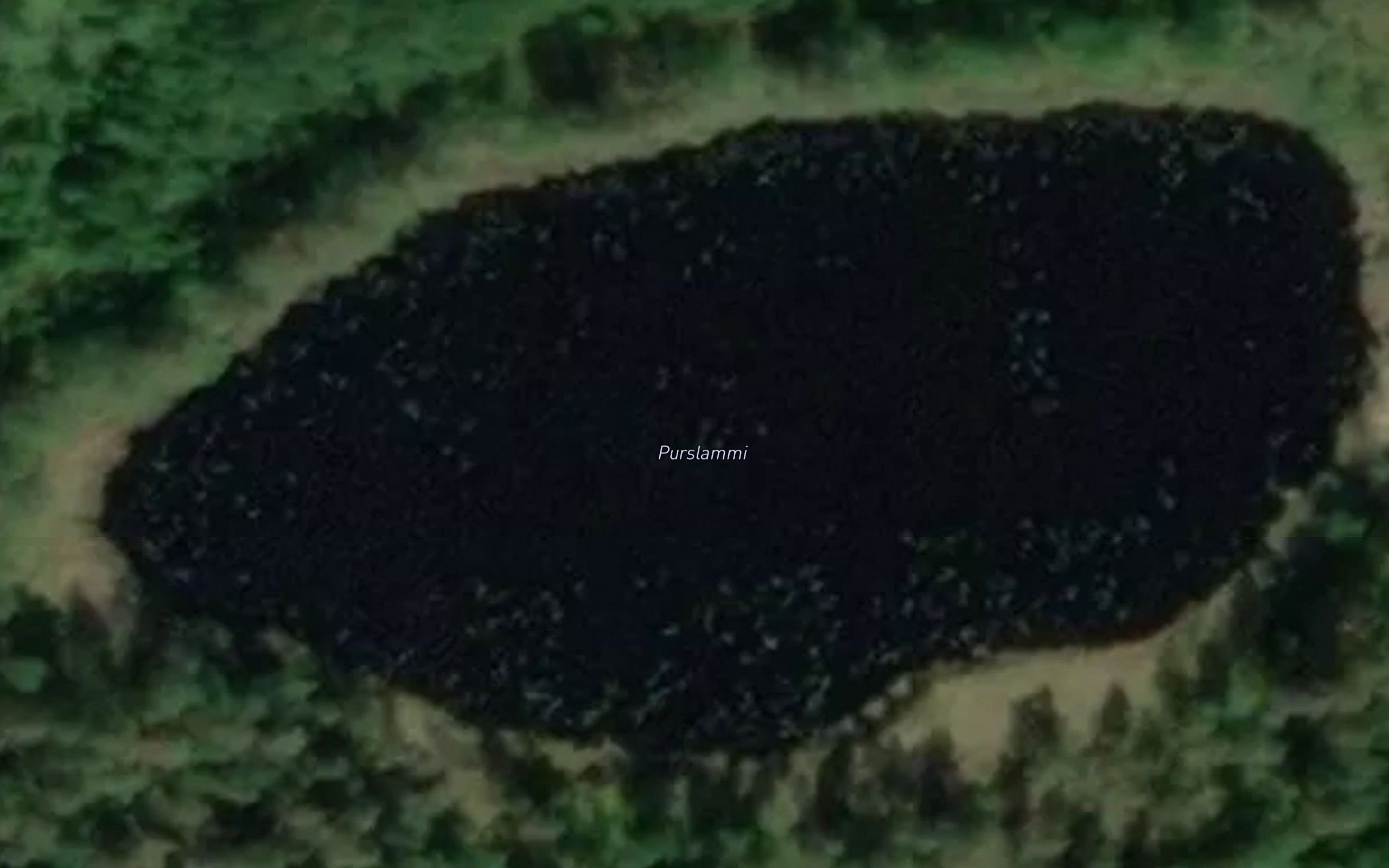 Purslammi
