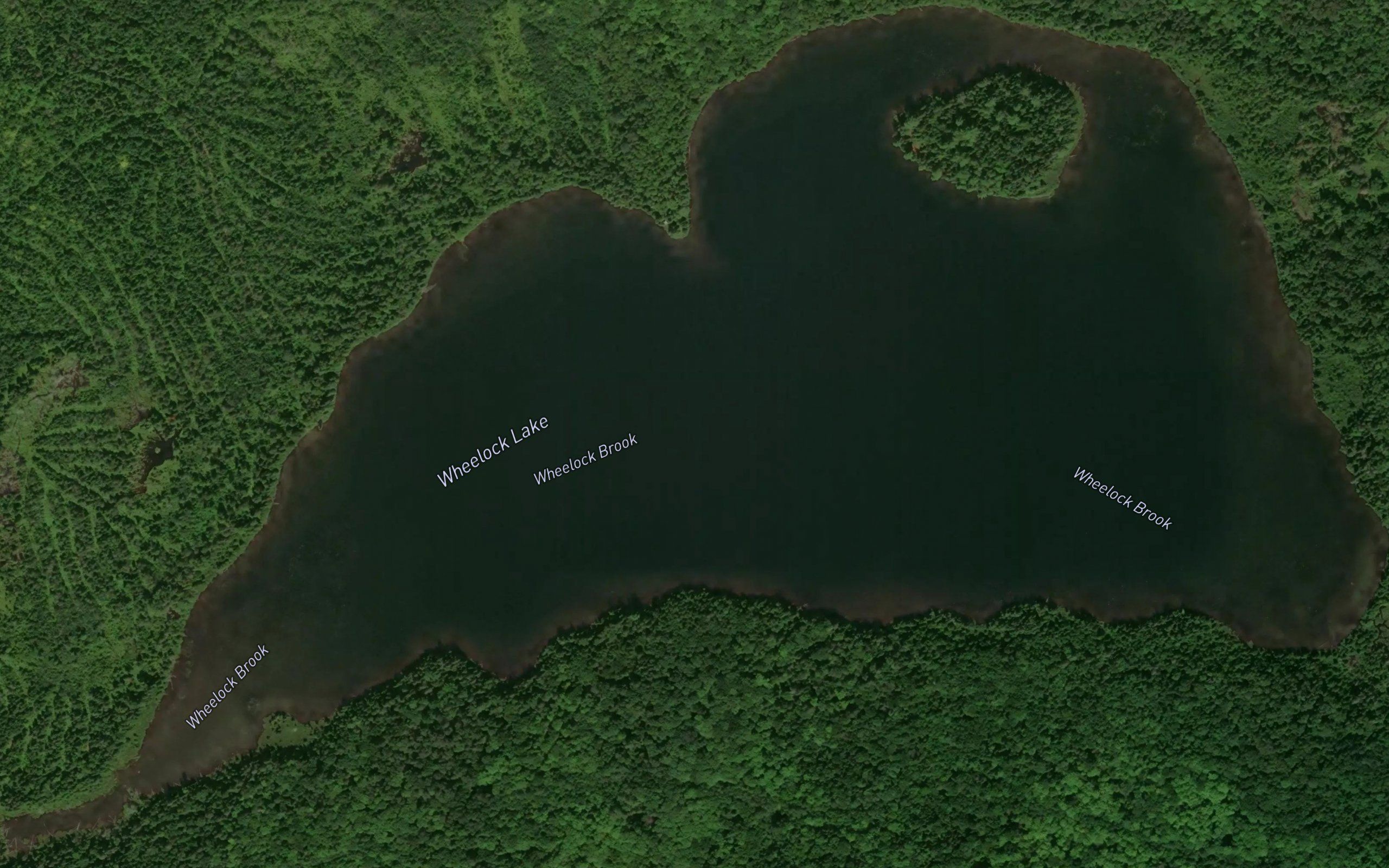Wheelock Lake