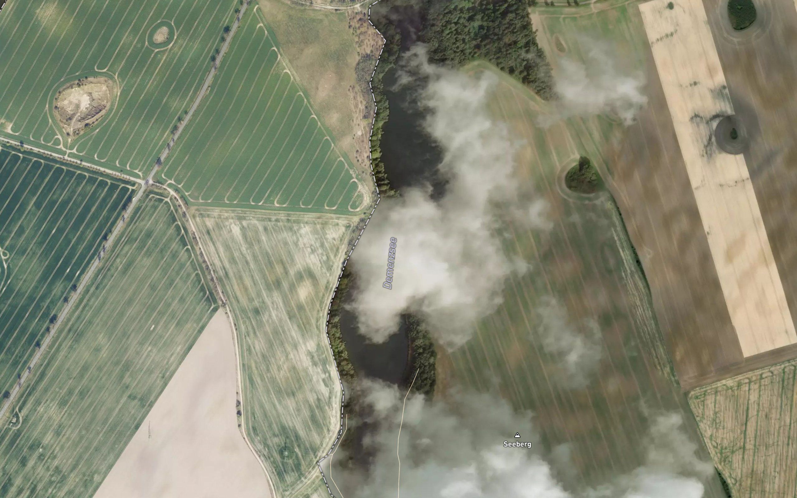Demenzsee