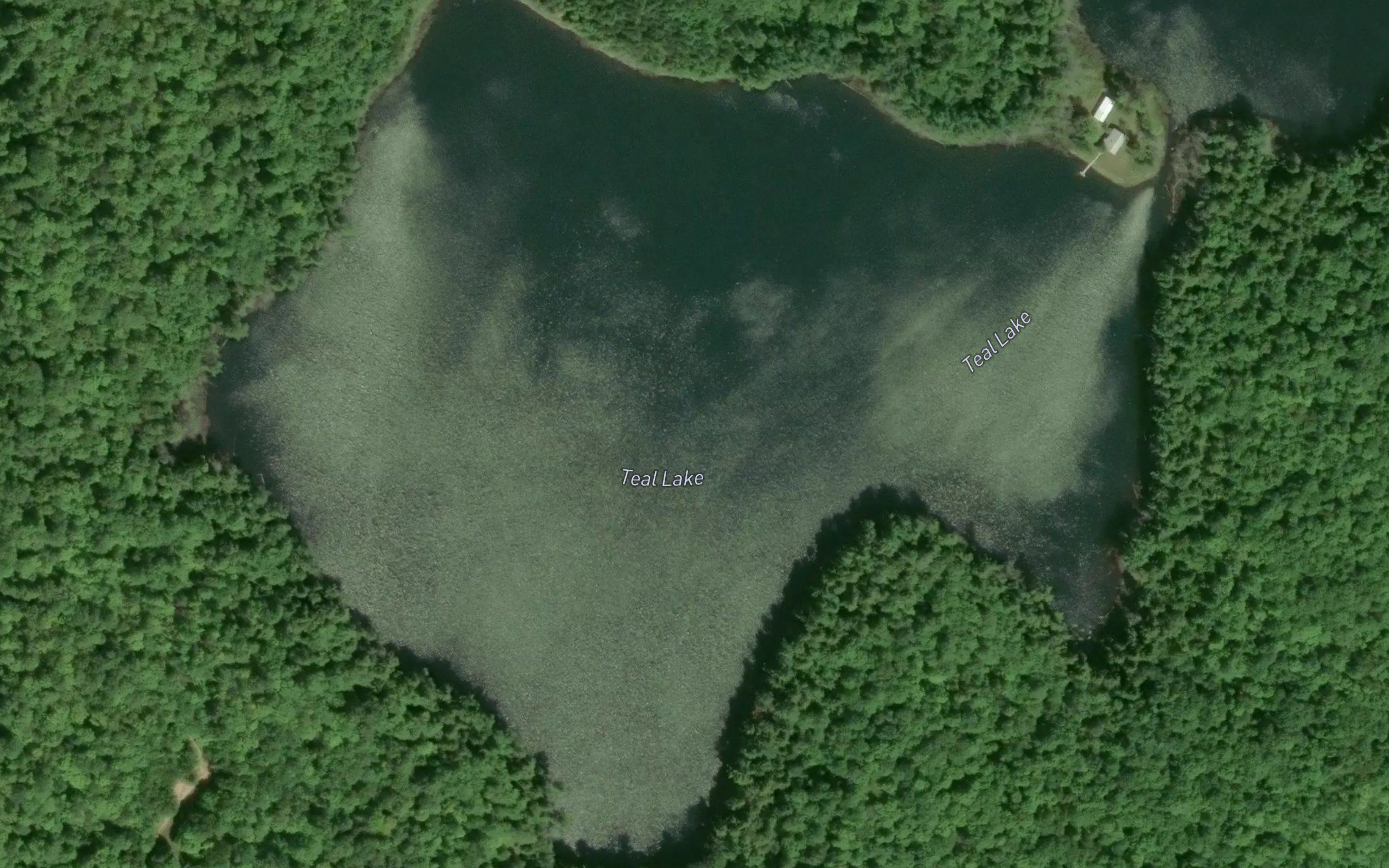 Teal Lake