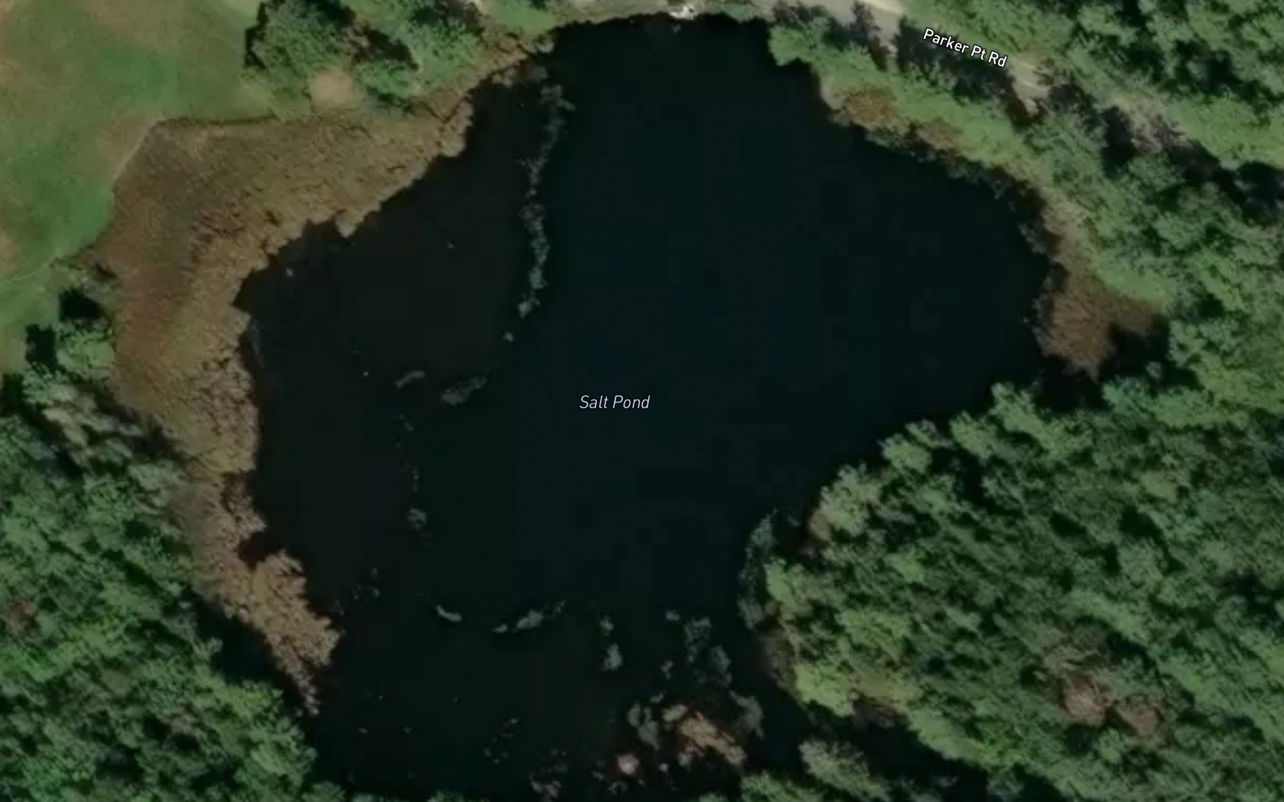 Salt Pond
