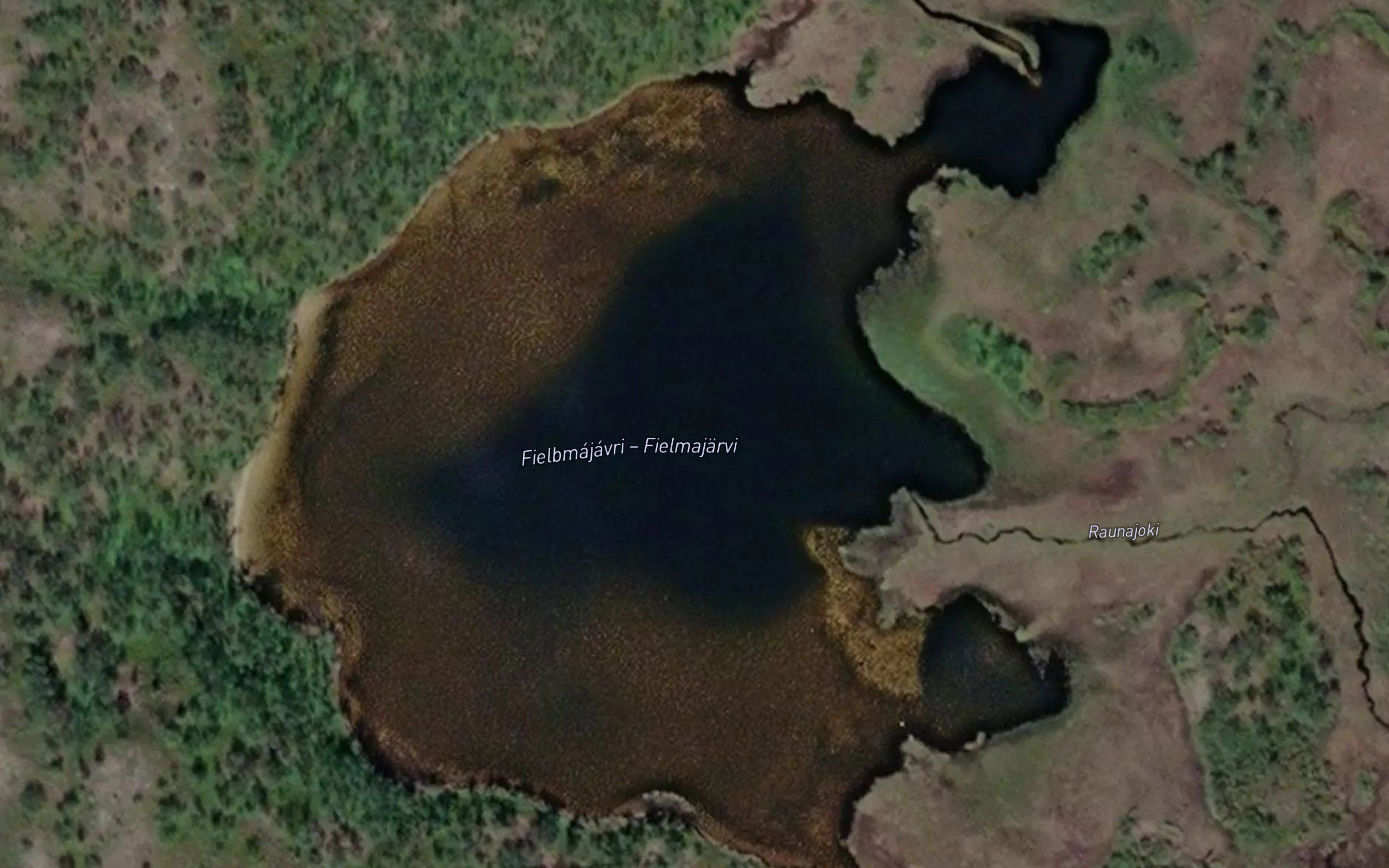 Fielbmajavri