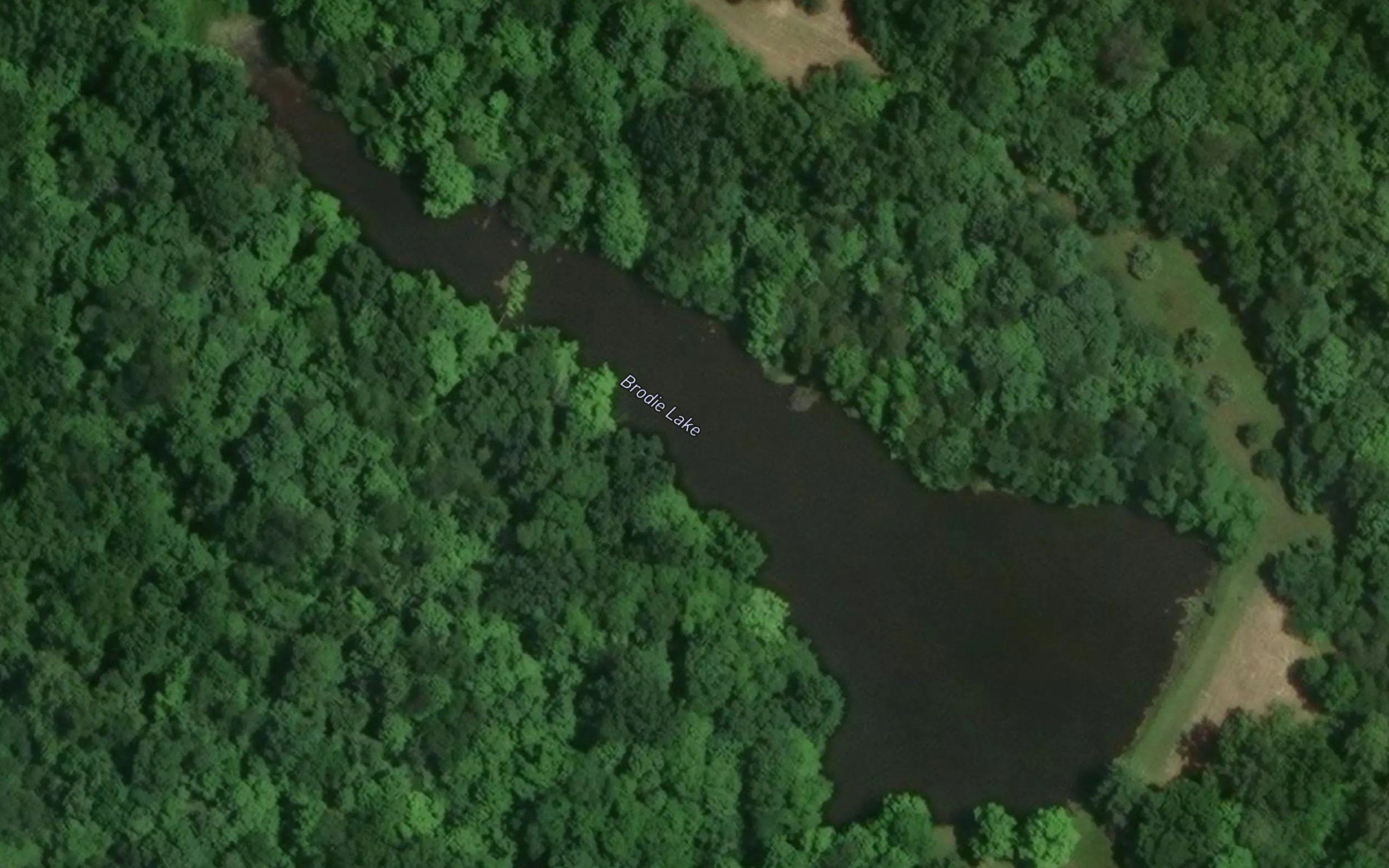 Brodie Lake