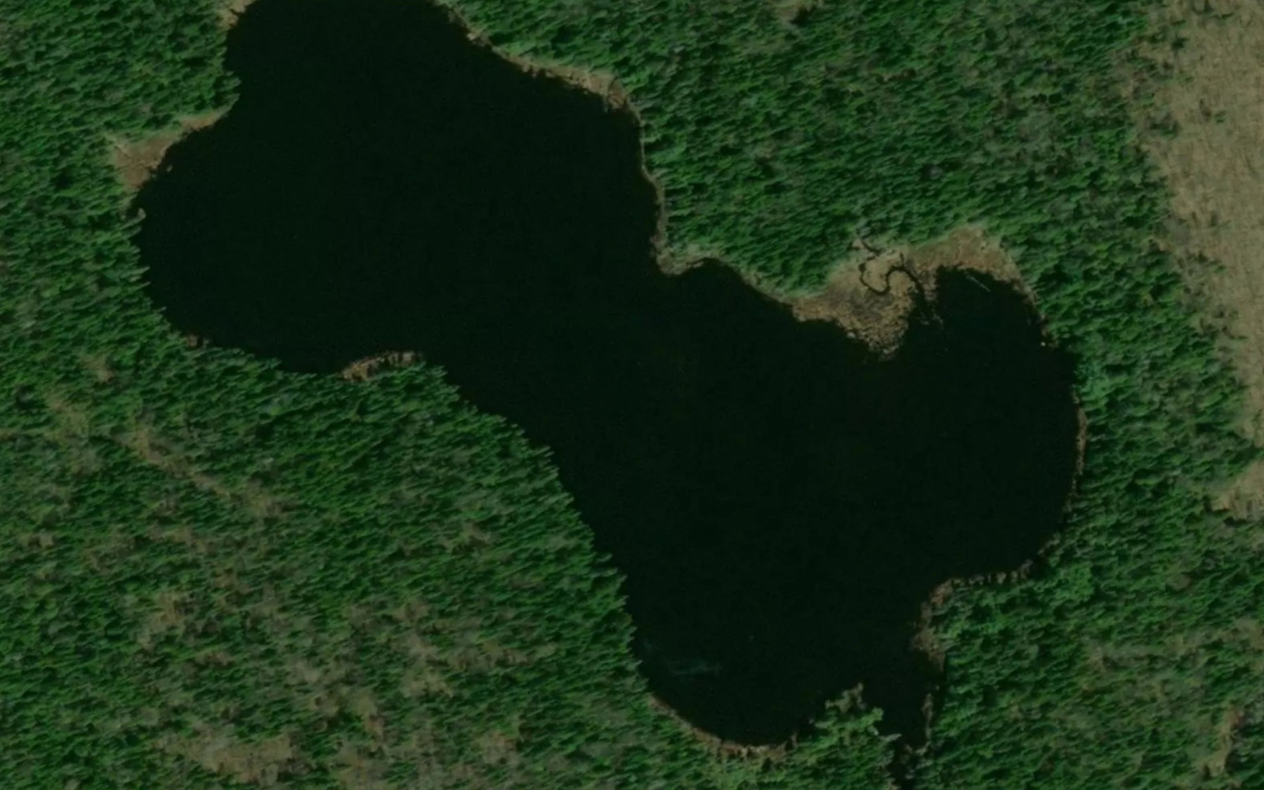 Satellite map of the Lac aux Foins Verts