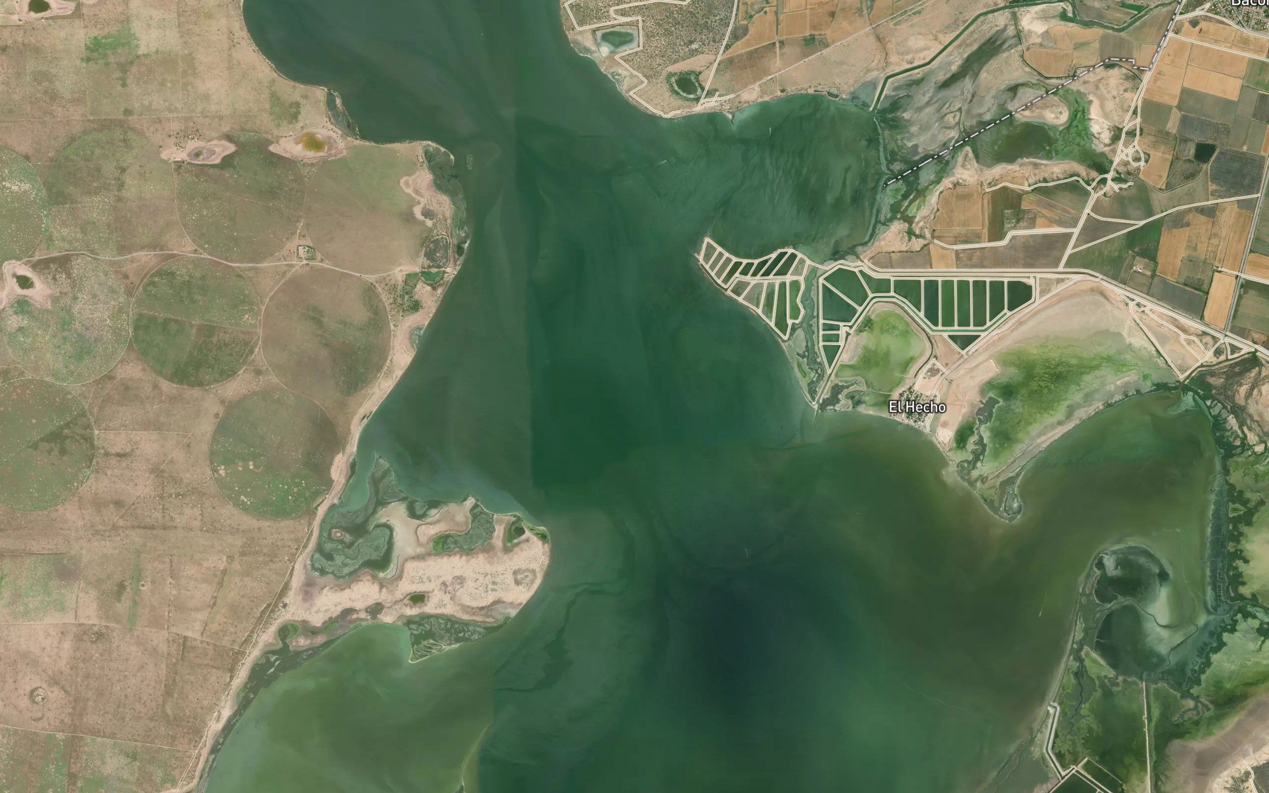 Estero Bacorehuis