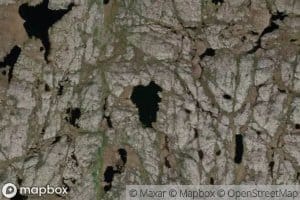 Hauktjorna