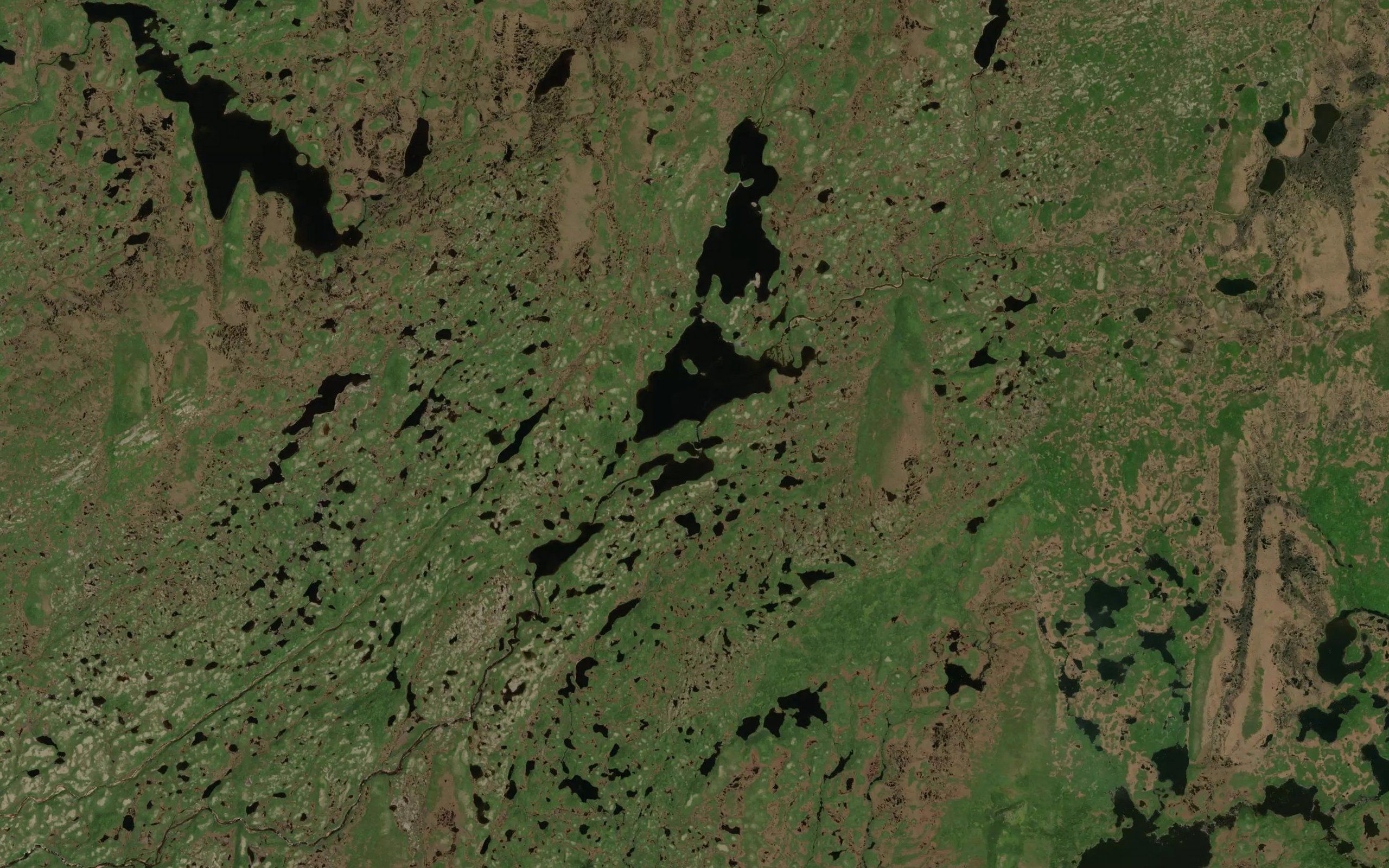 Bolt Pond