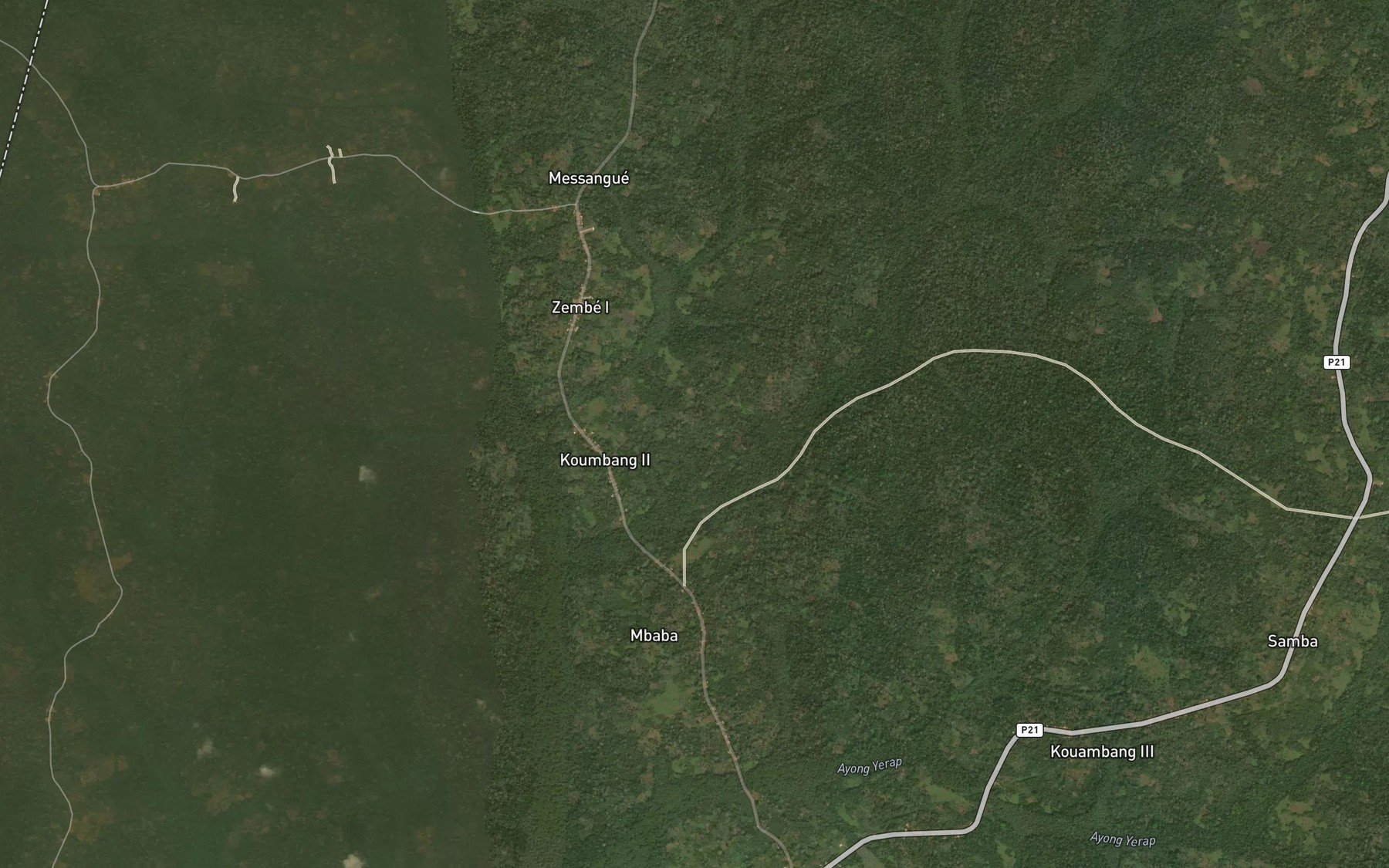 Satellite map of the Ndongue