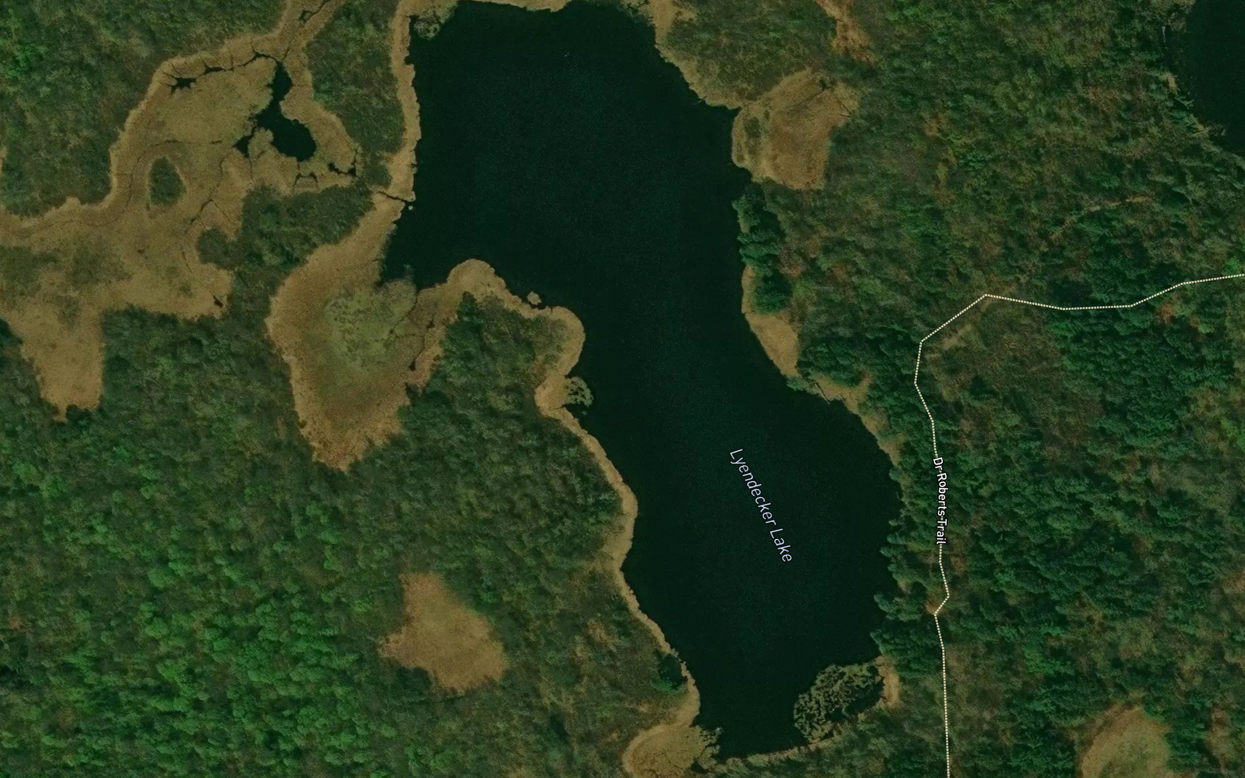 Lyendecker Lake