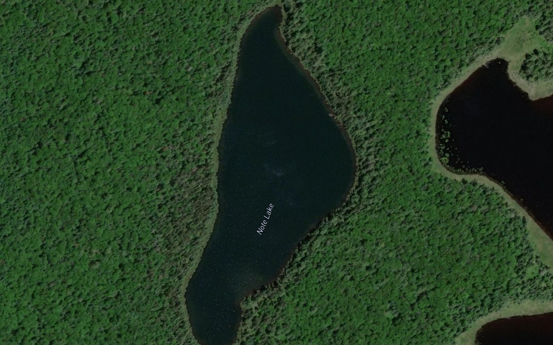 Satellite map of the Note Lake