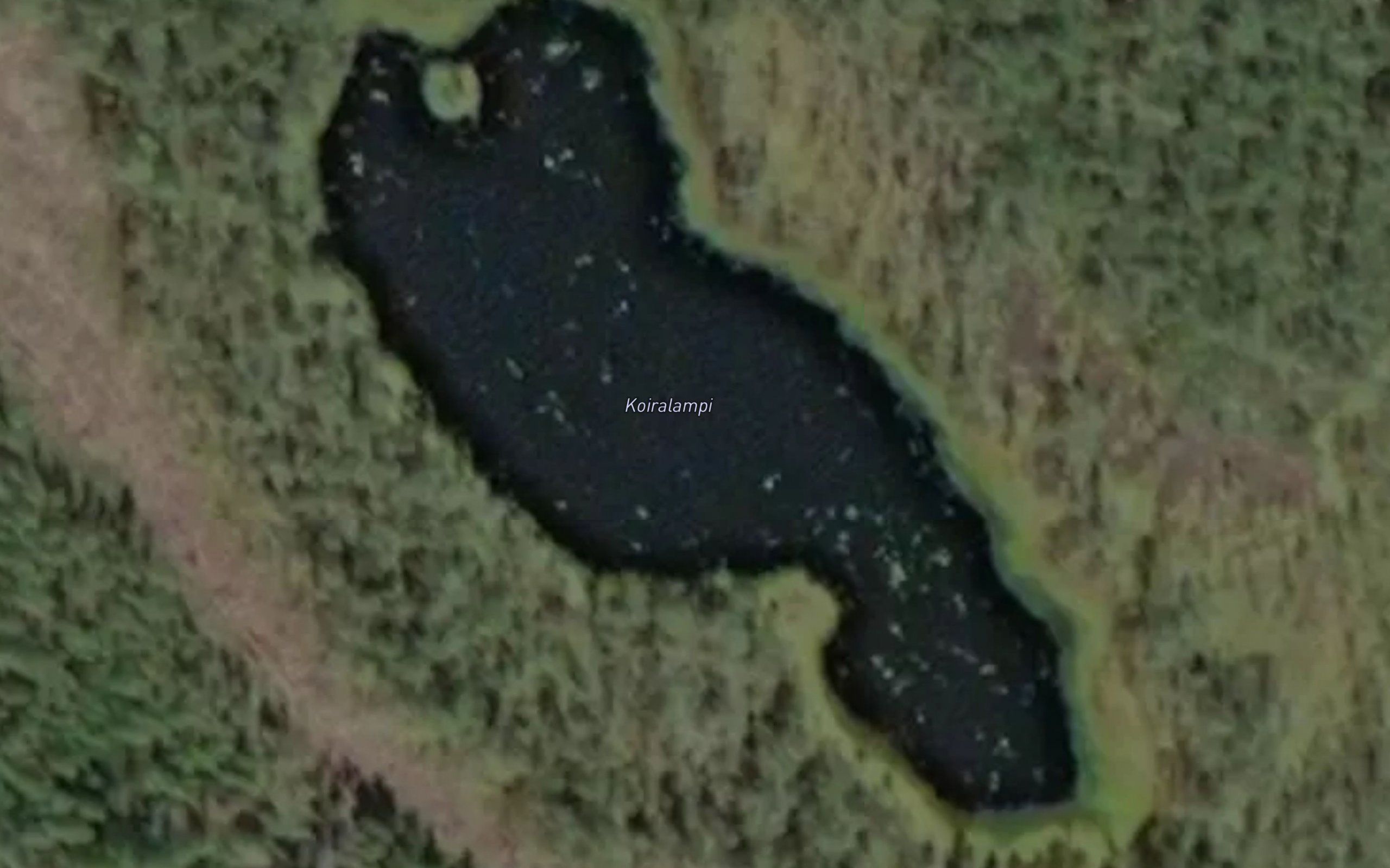 Koiralampi