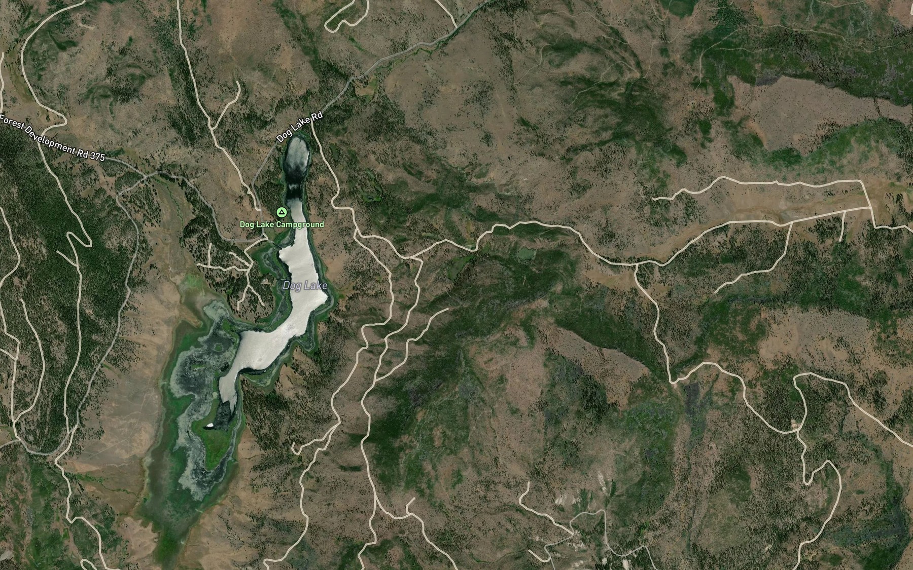 Satellite map of the Dog Lake Spring