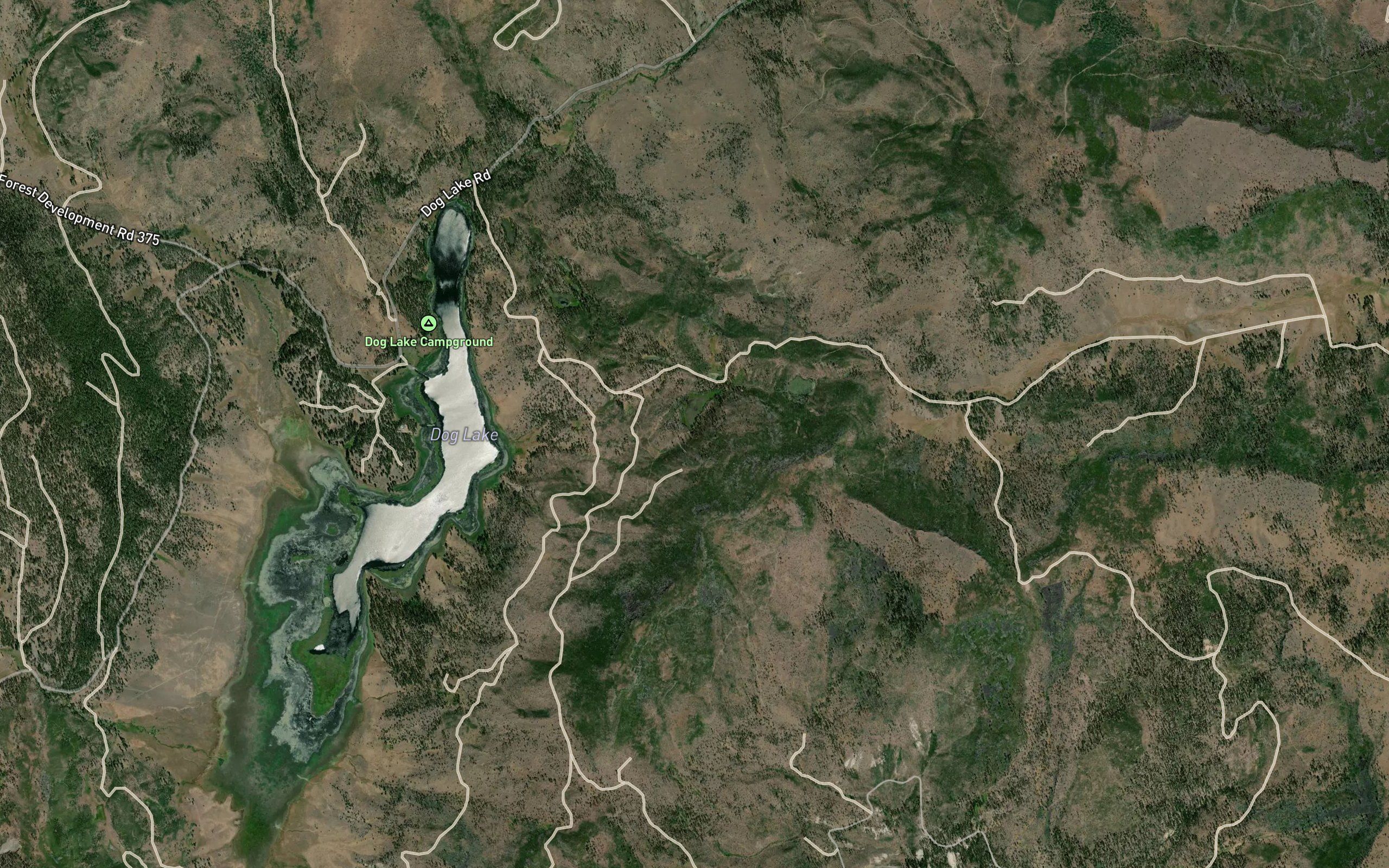 Dog Lake Spring