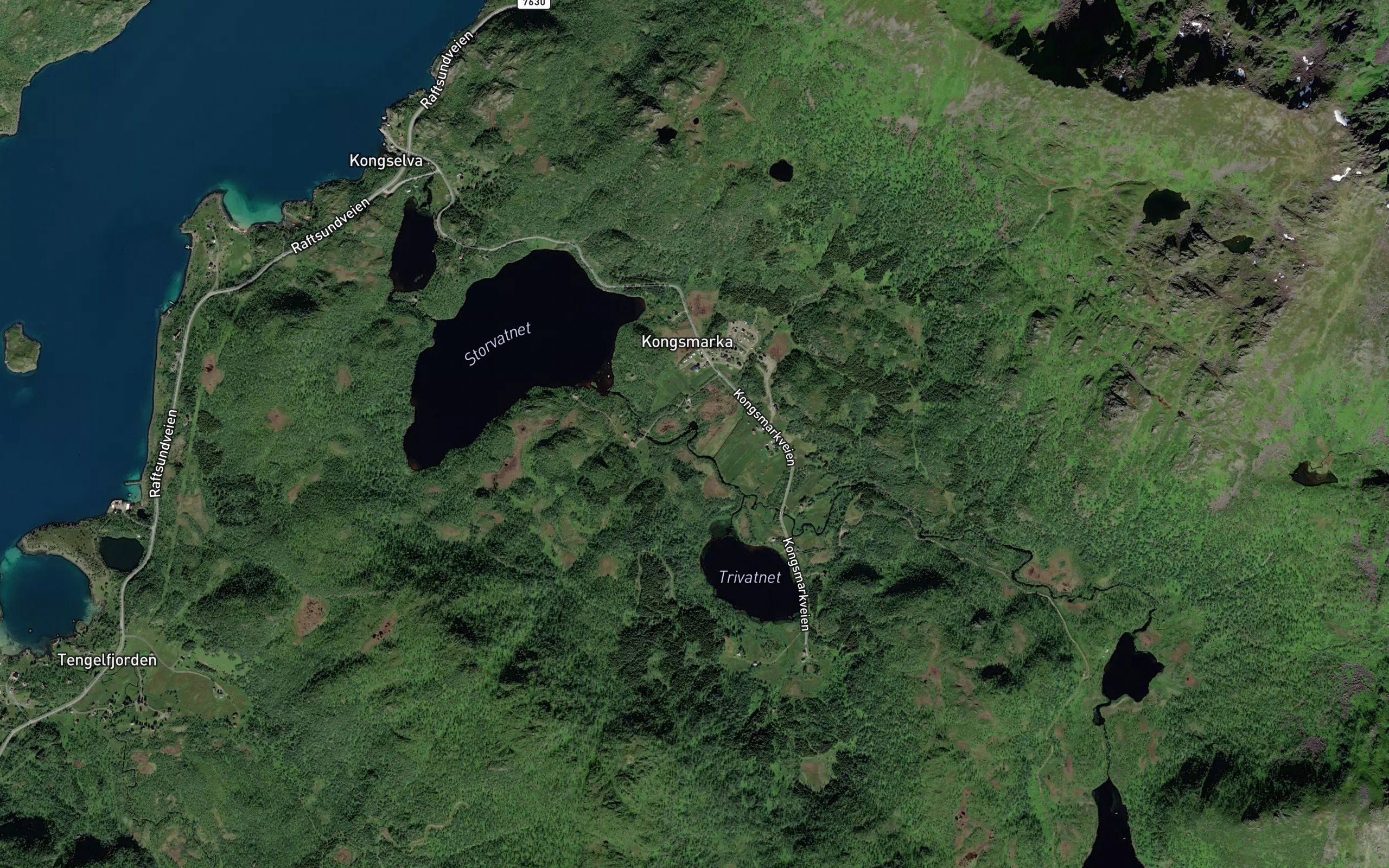 Gongajohka