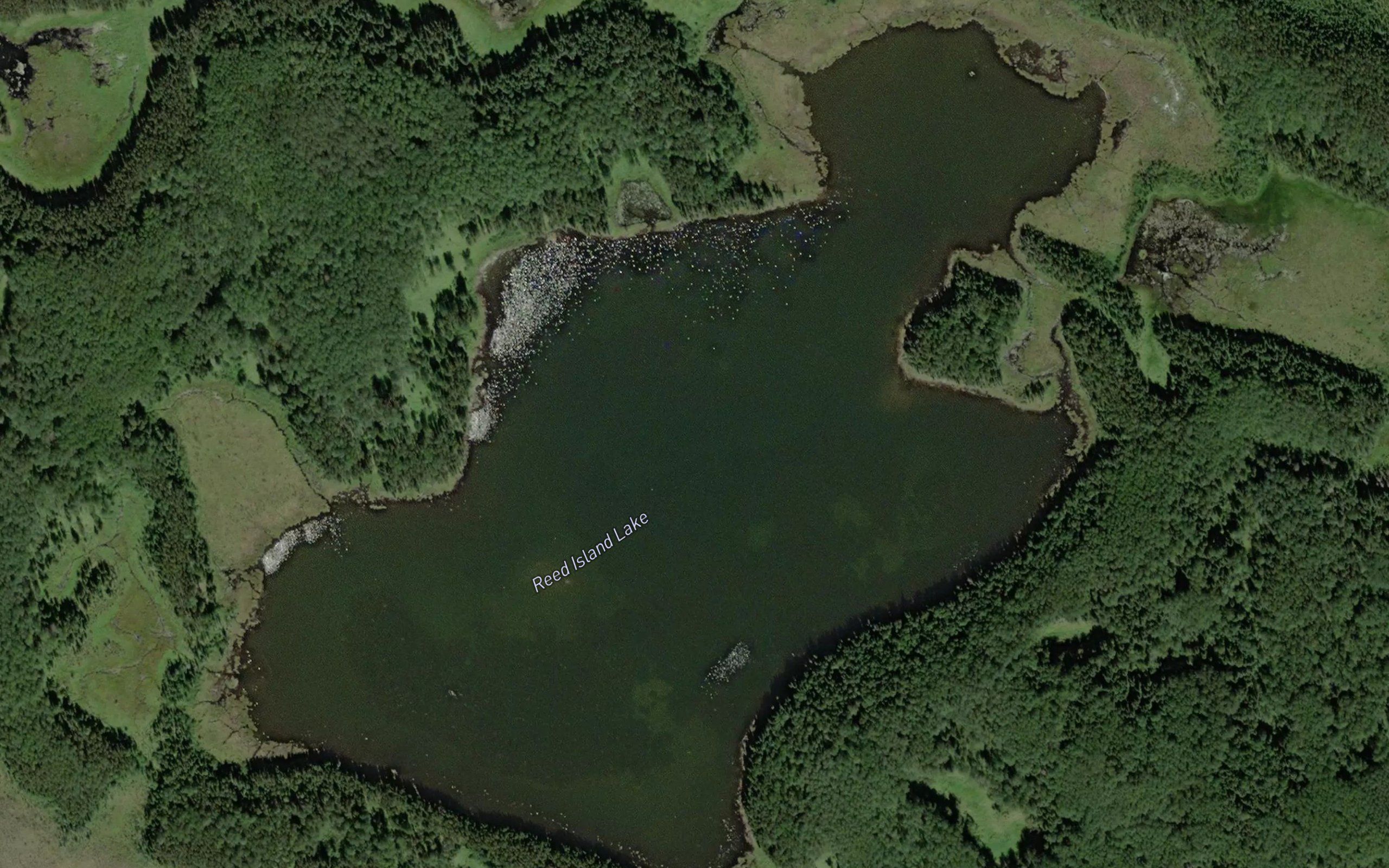 Reed Island Lake