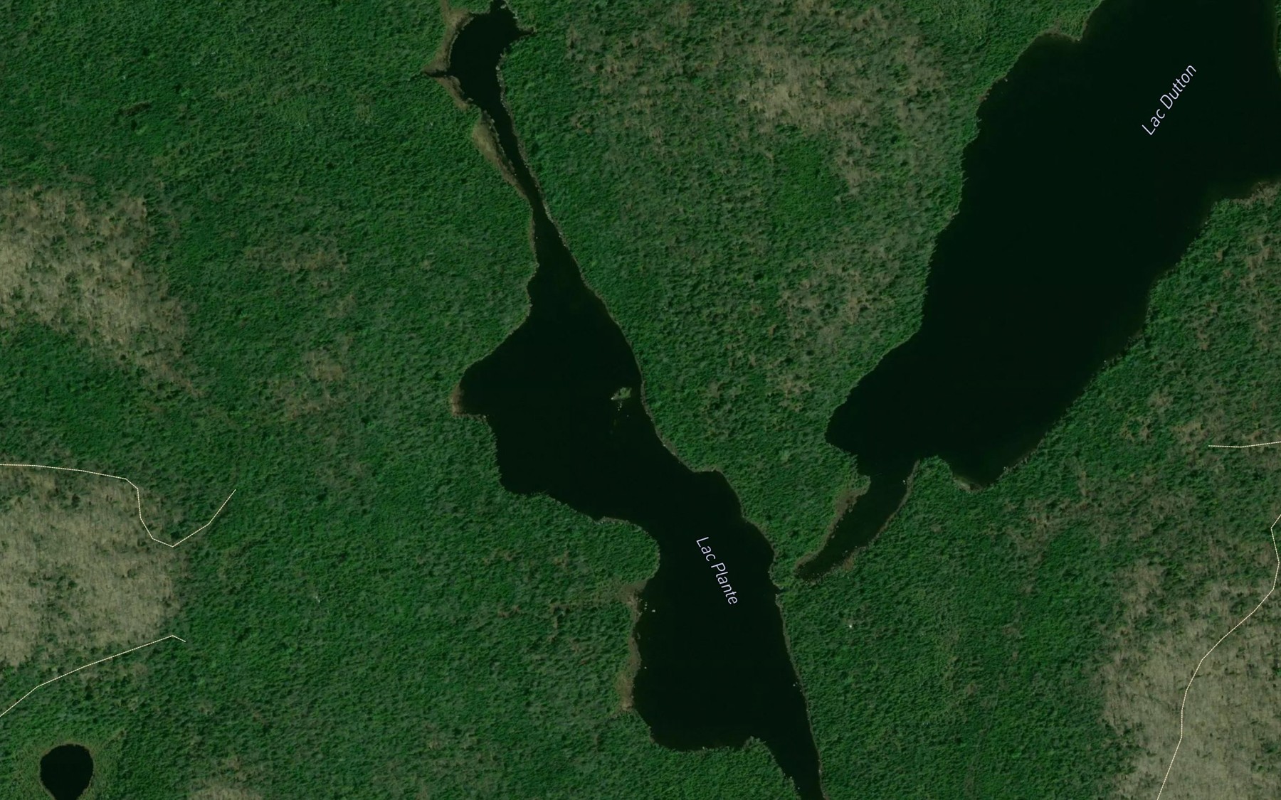 Satellite map of the Lac Plante