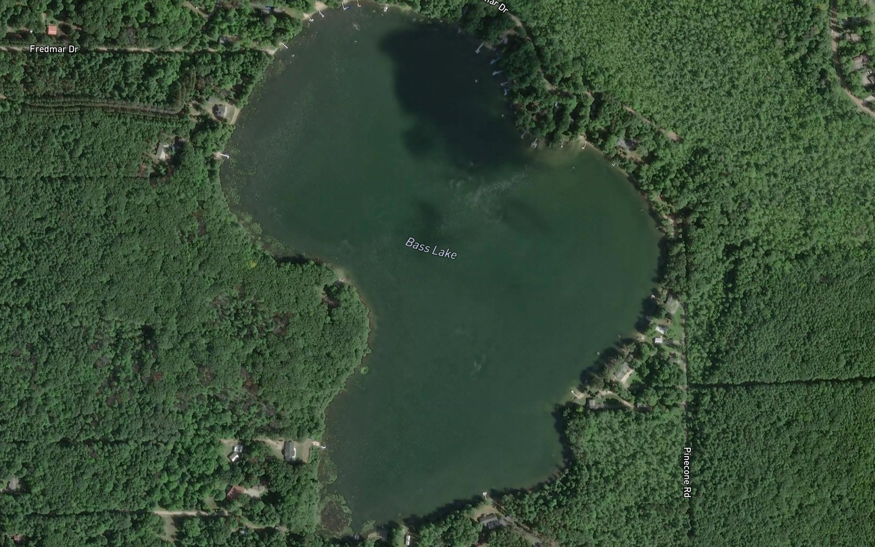 Satellite map of the Bass Lake