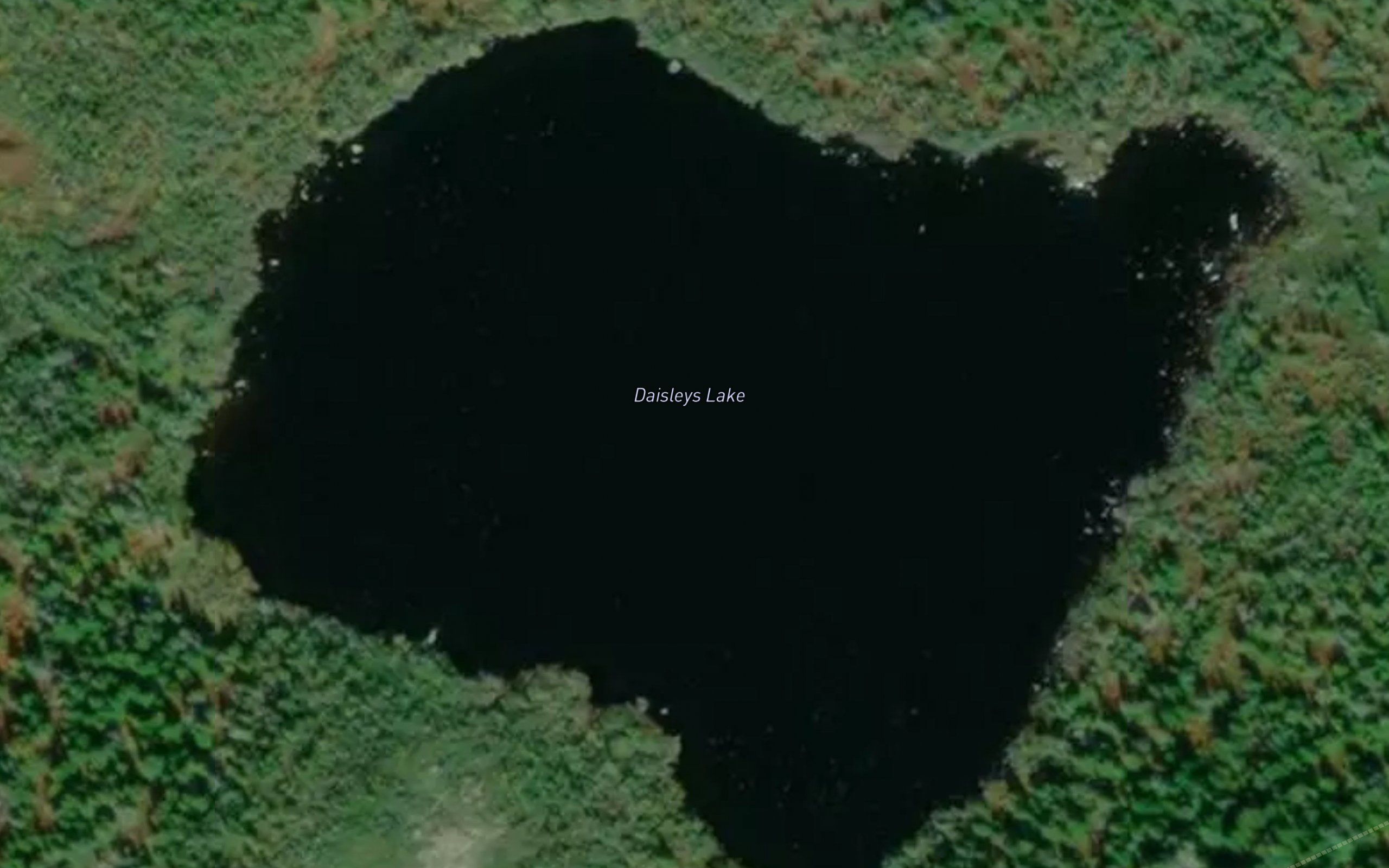 Daisleys Lake