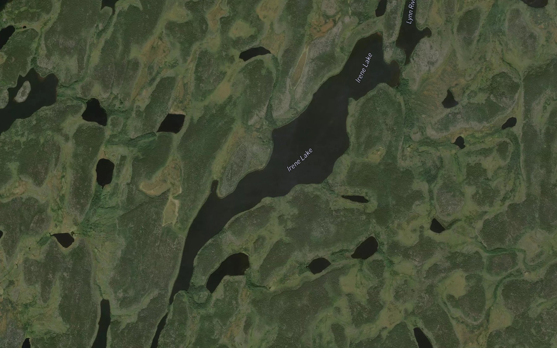 Satellite map of the Irene Lake