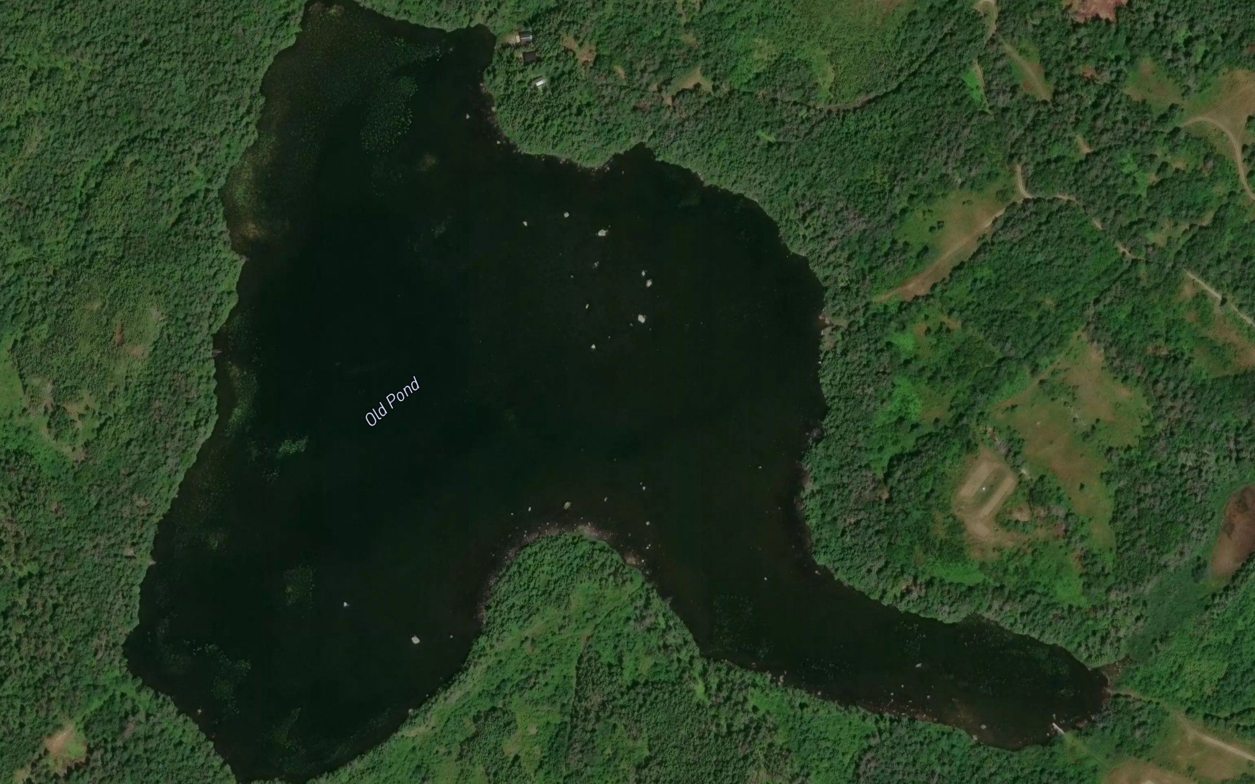 Old Pond