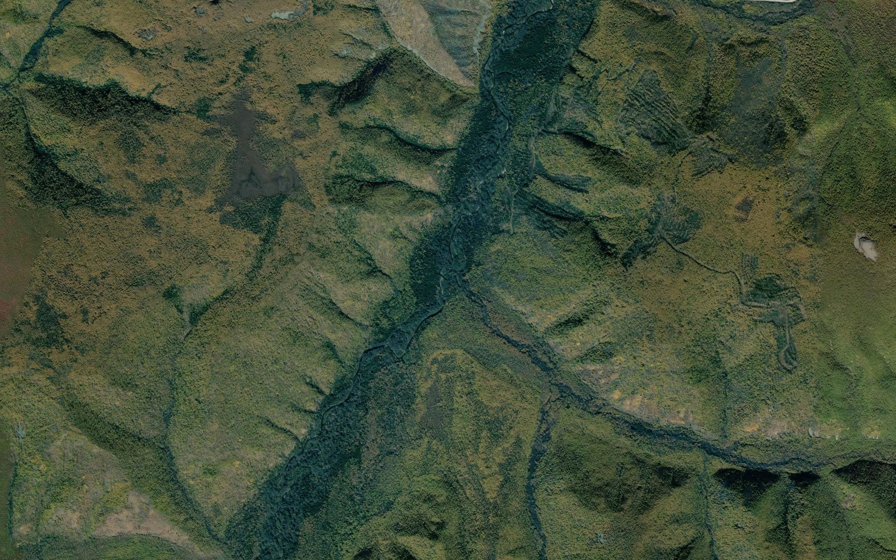 Satellite map of the Ryabchikovyy
