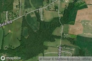Roan Buck Branch
