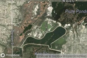 Teal Pond