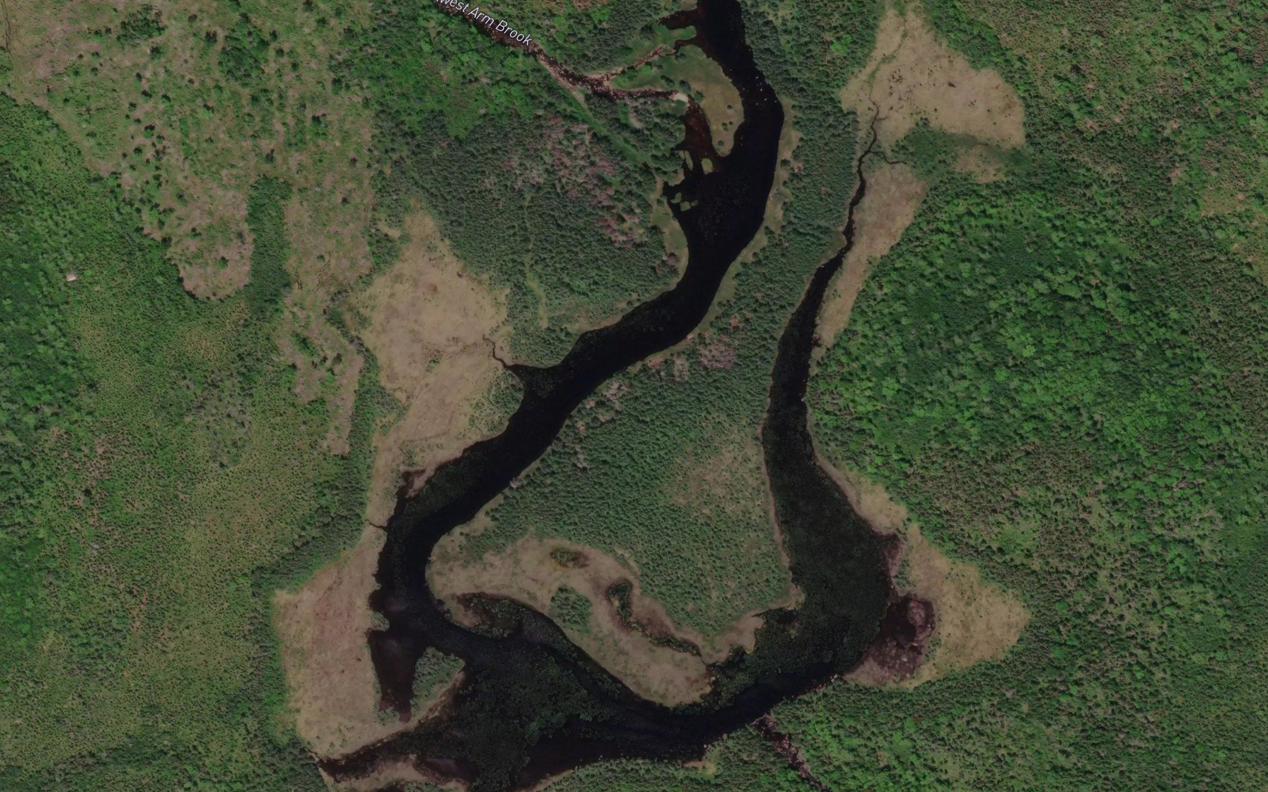 Snows Lake