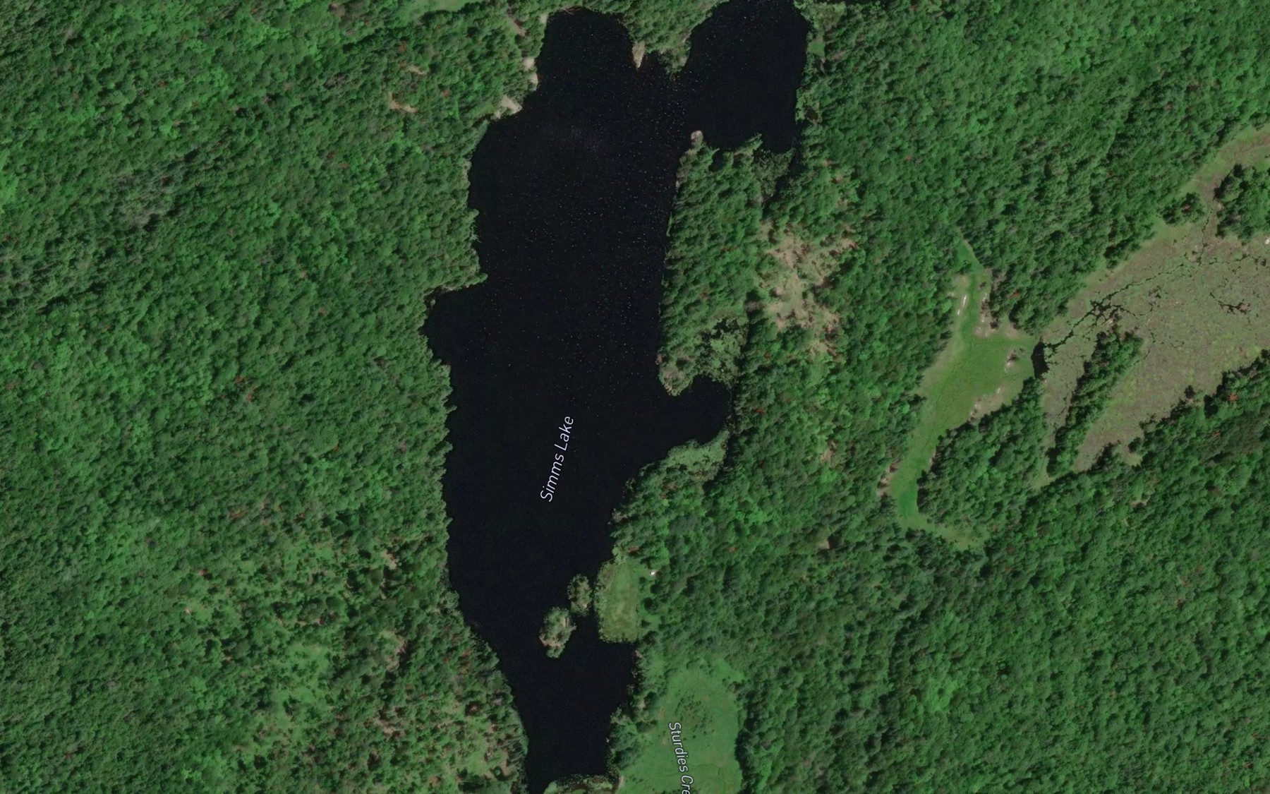 Satellite map of the Simms Lake