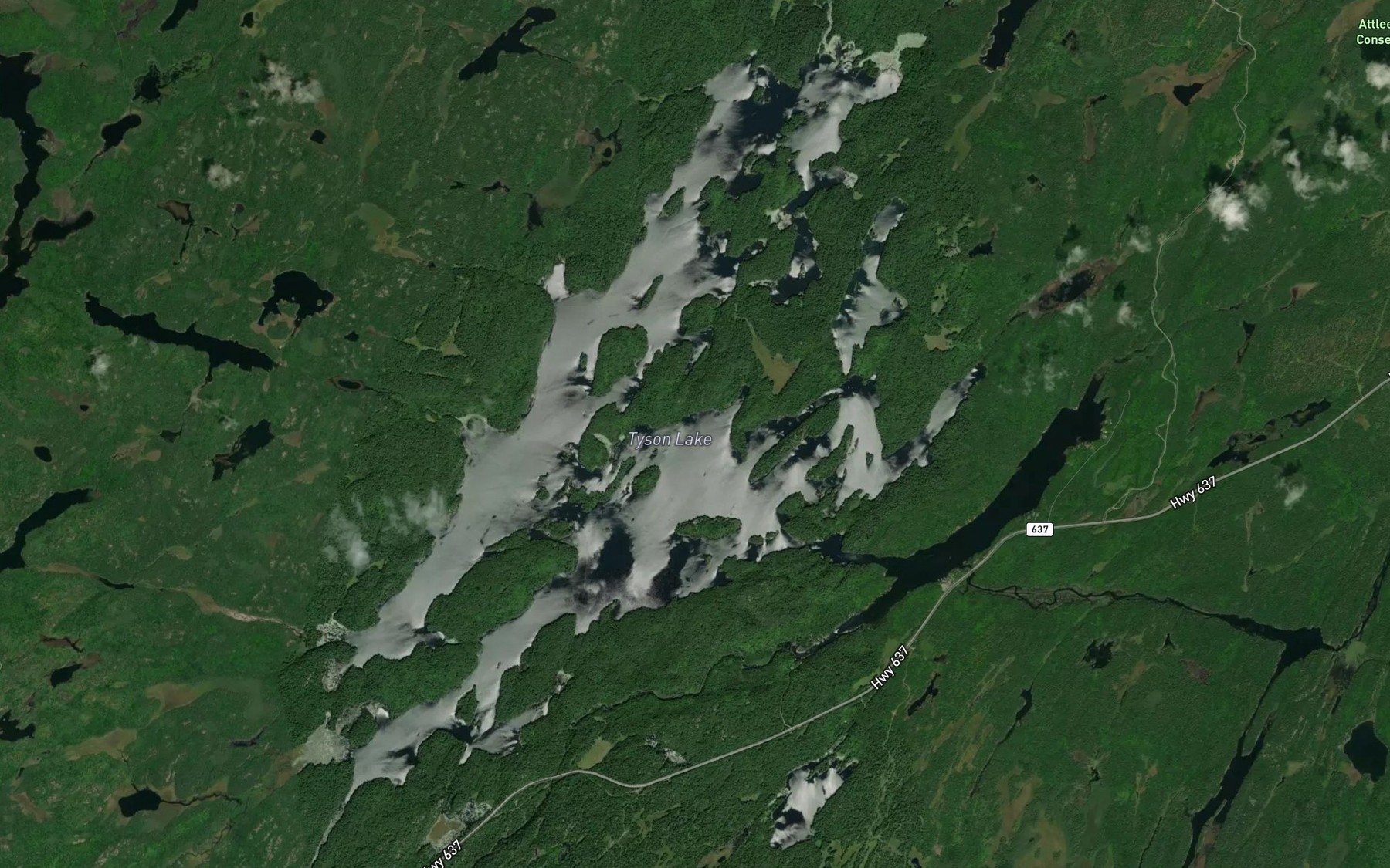 Satellite map of the Tyson Lake