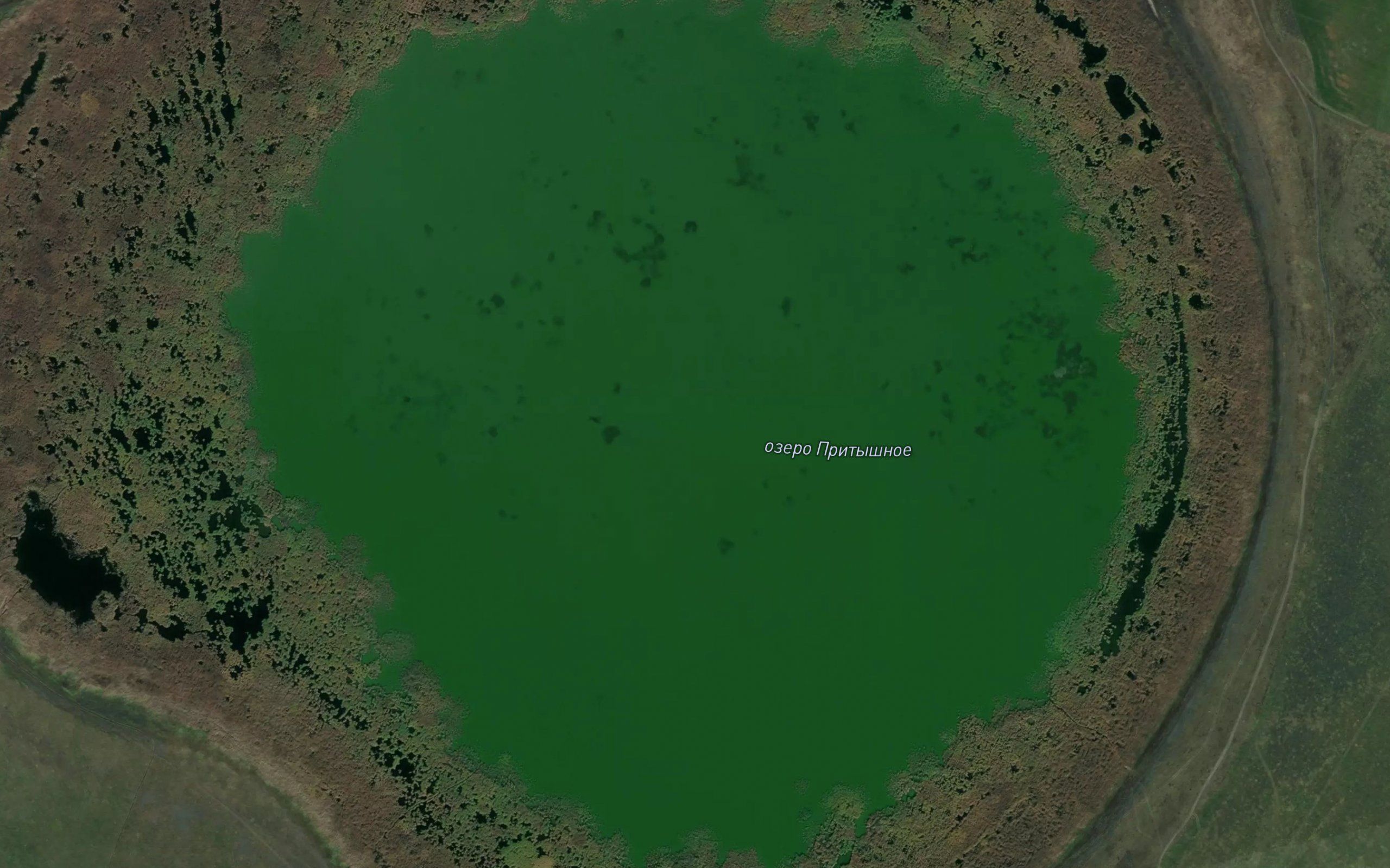 Ozero Prityshnoye