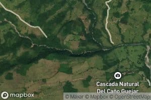 Cano Guarumal