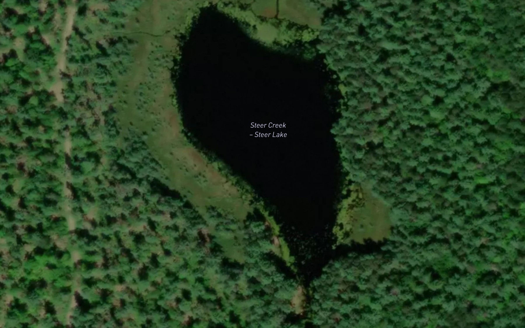 Satellite map of the Steer Lake