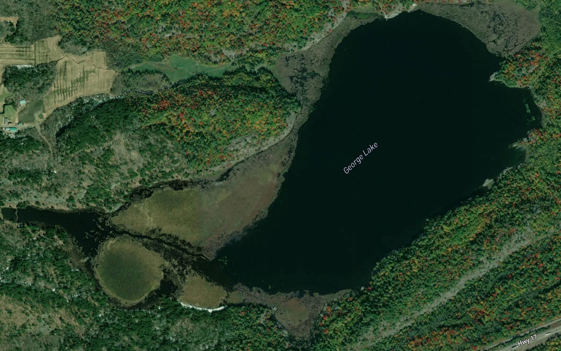 Satellite map of the George Lake