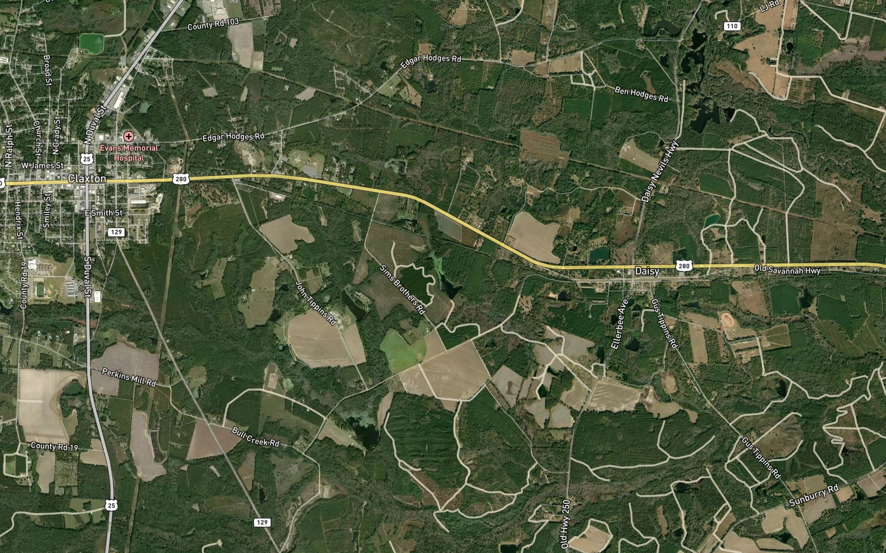 Satellite map of the Sims Pond