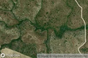 Fishpond Branch