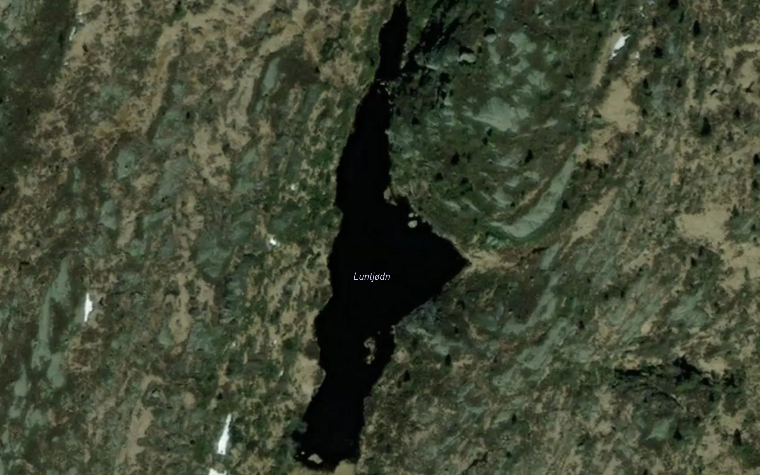 Lundtjorna