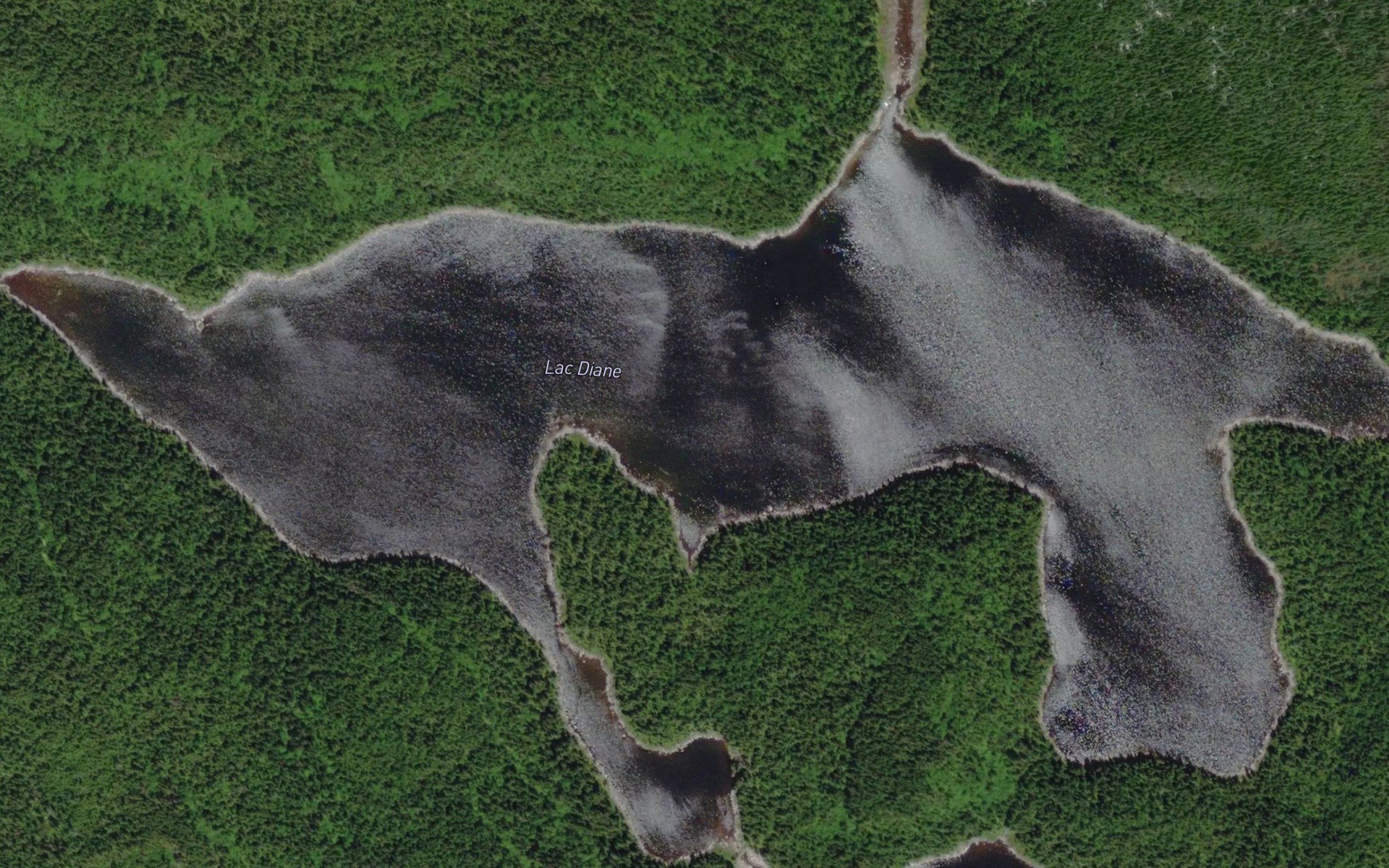 Lac Diane