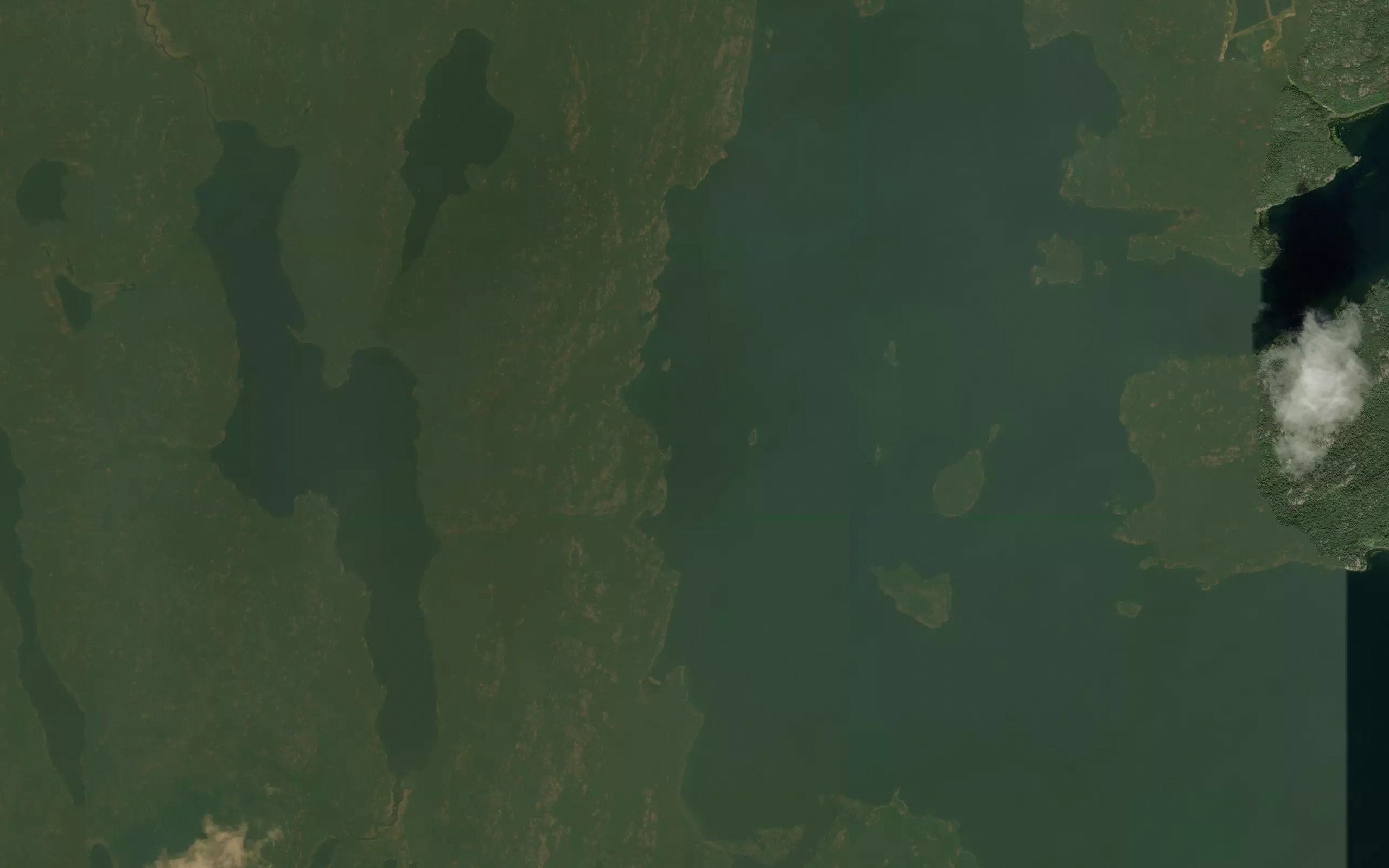 Woods Lake
