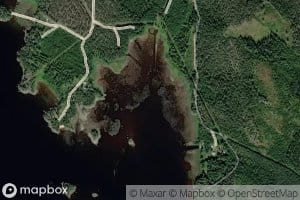 Honkalahti