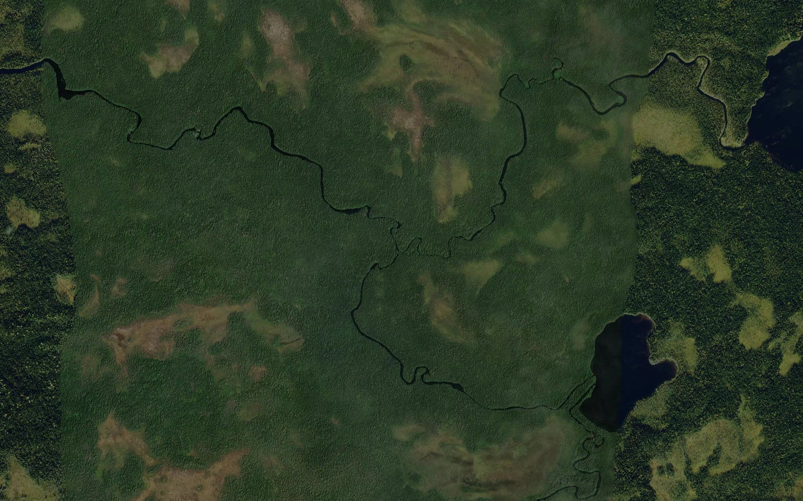 Molevskiy