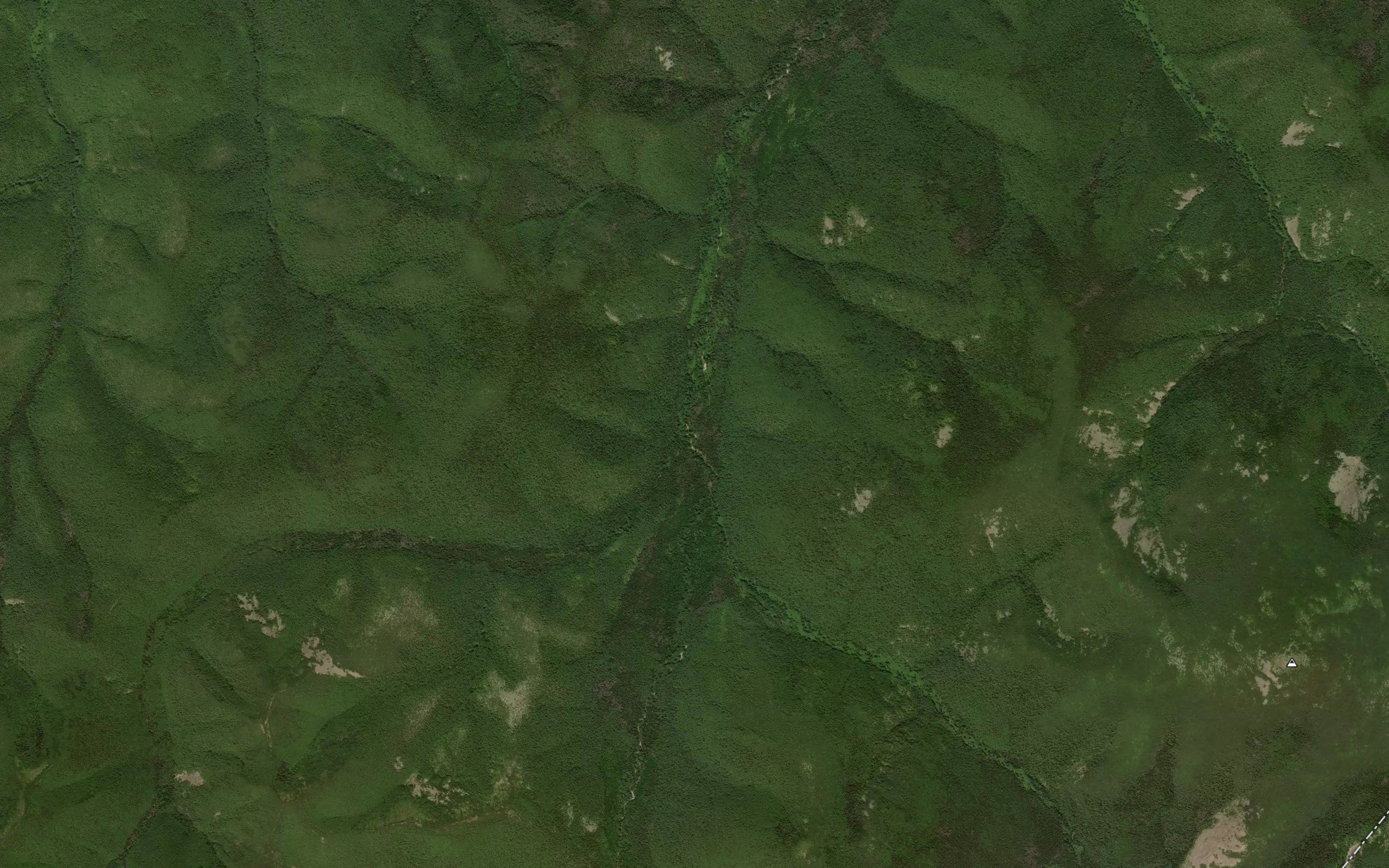 Medvezhiy