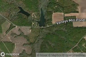 Veneys Millpond